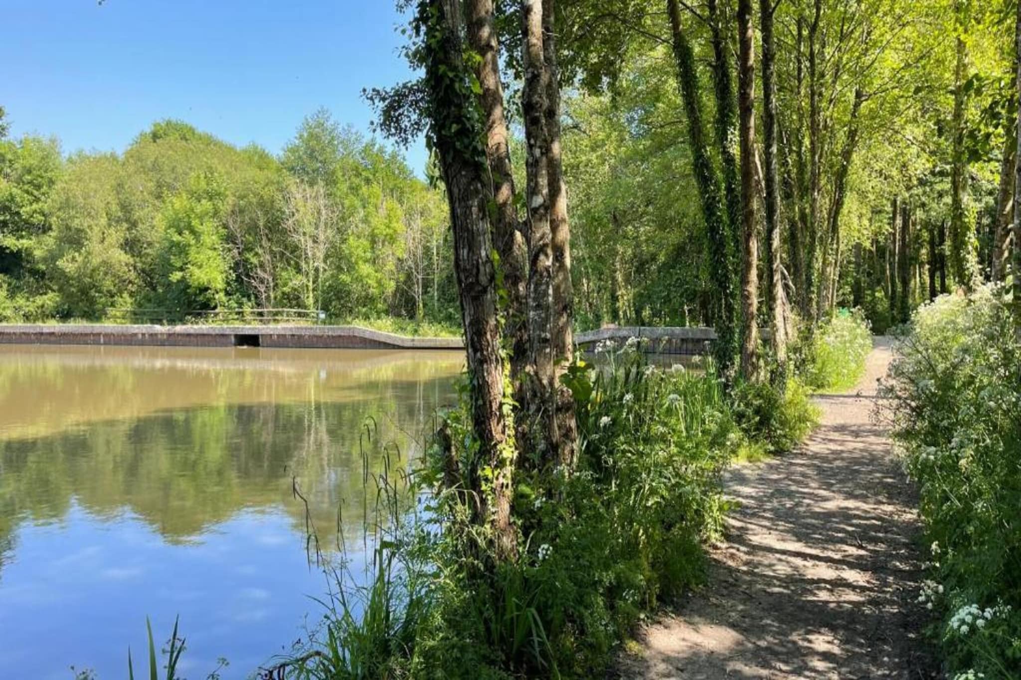 Little Dunley - Vine Lodge-Gebieden zomer 5km