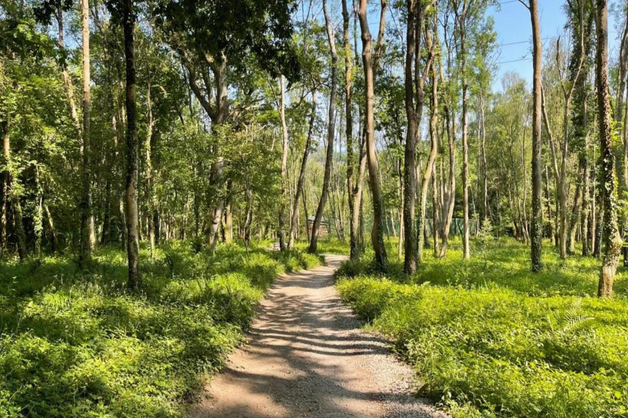Little Dunley - Vine Lodge-Gebieden zomer 5km