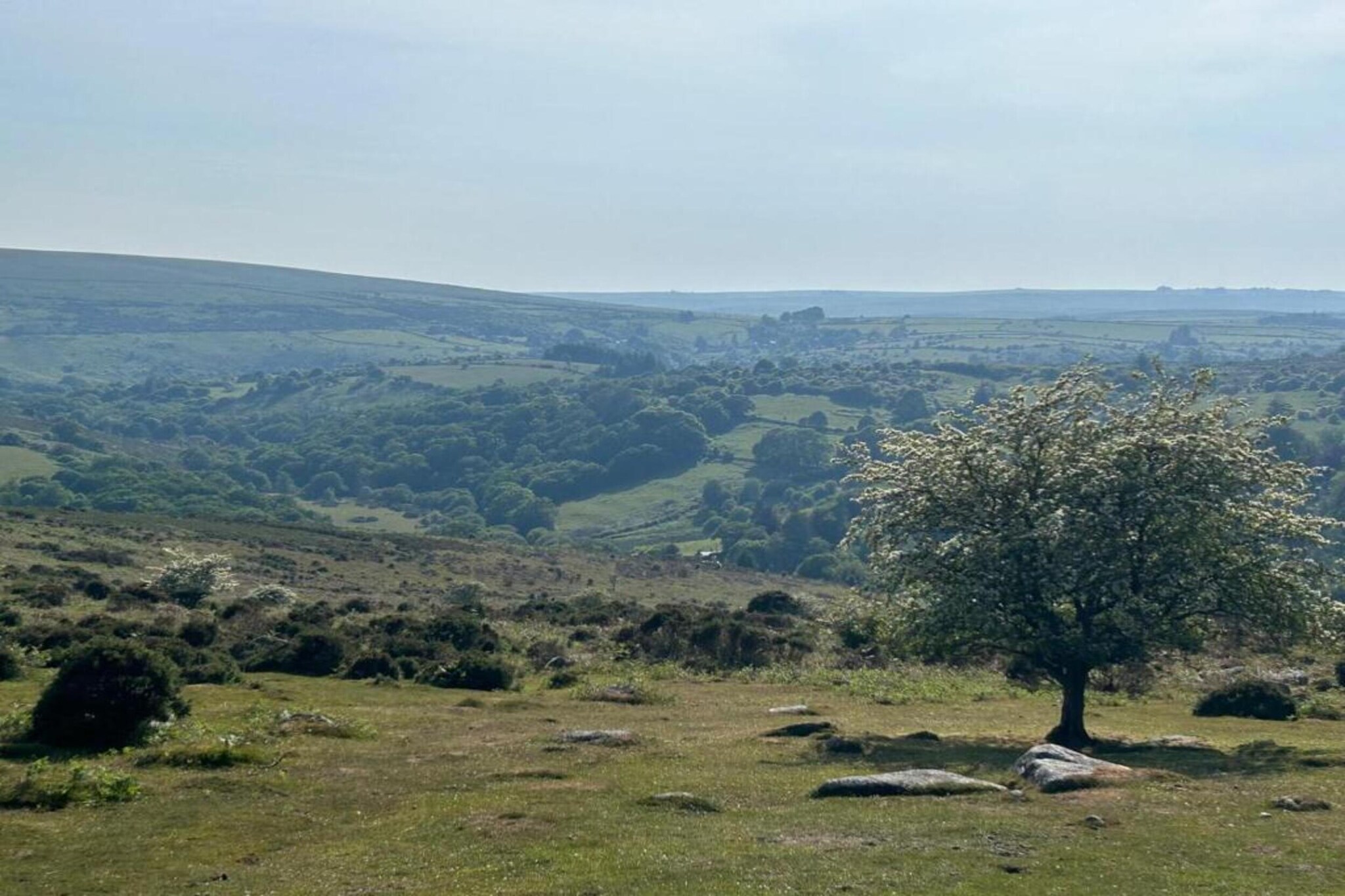 Little Dunley - Vine Lodge-Gebieden zomer 5km