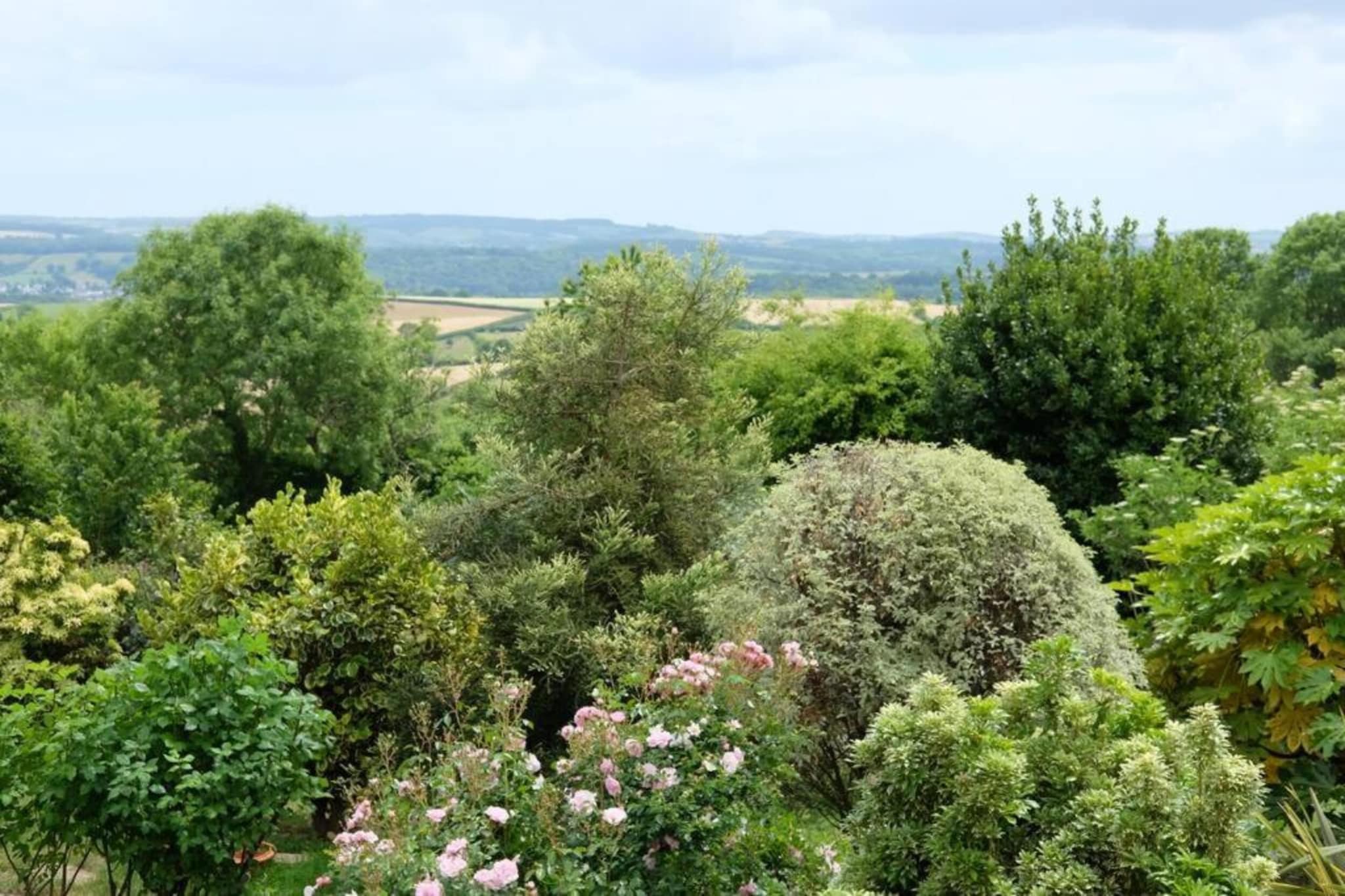 Little Dunley - Vine Lodge-Gebieden zomer 5km