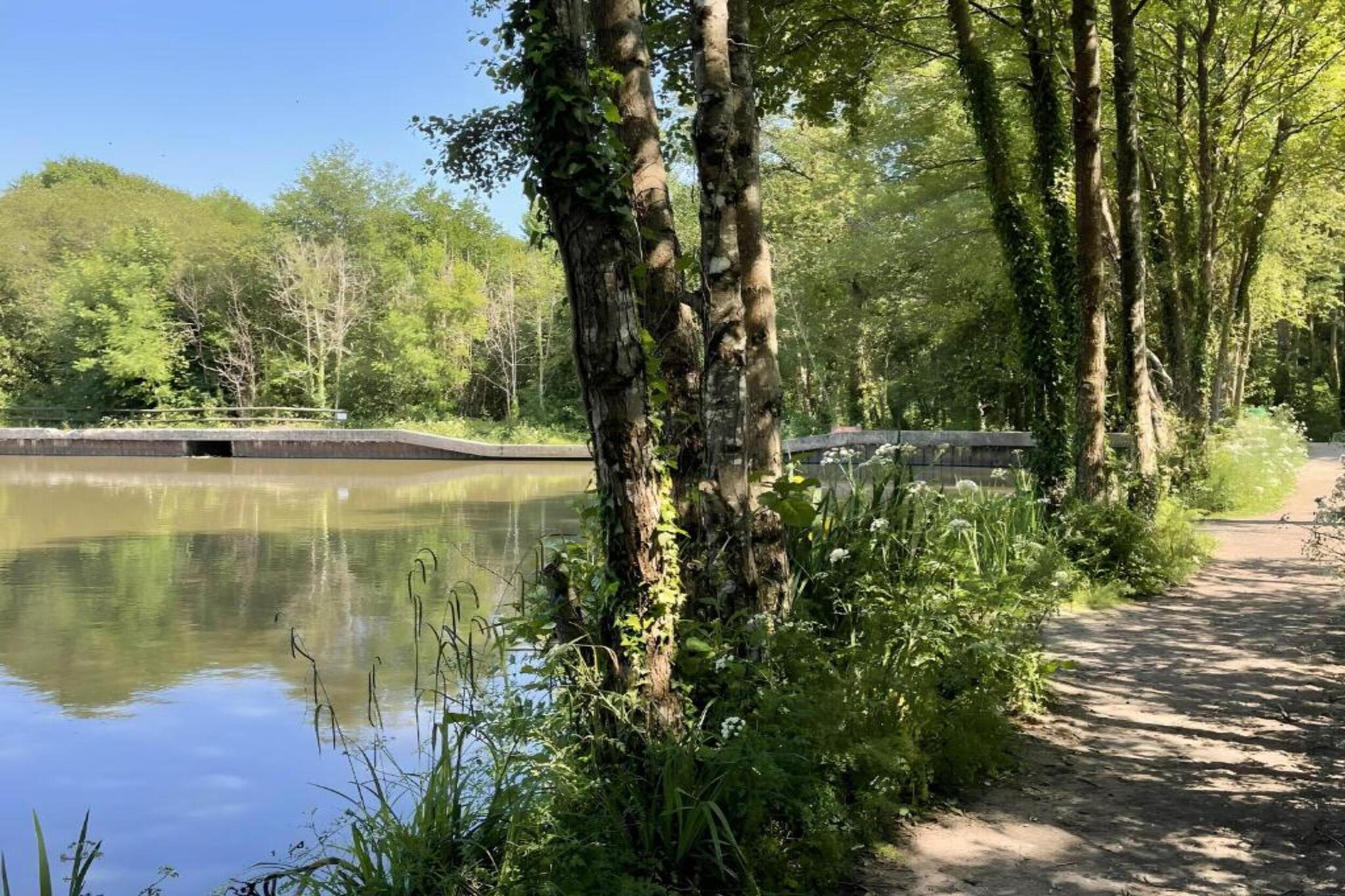 Little Dunley - Oaktree Cottage-Gebieden zomer 5km