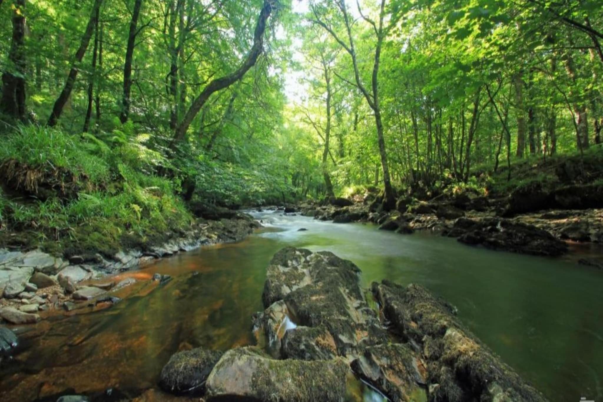 Little Dunley - Maple-Zones d'été à 5 km