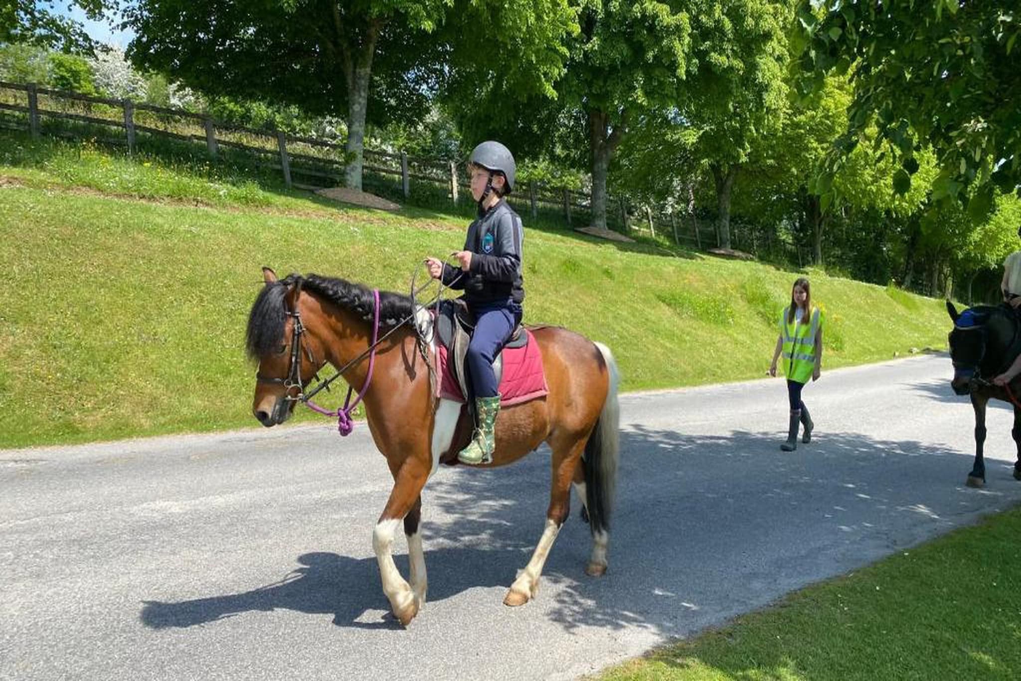 Little Dunley - Hazel-Gebieden zomer 20km