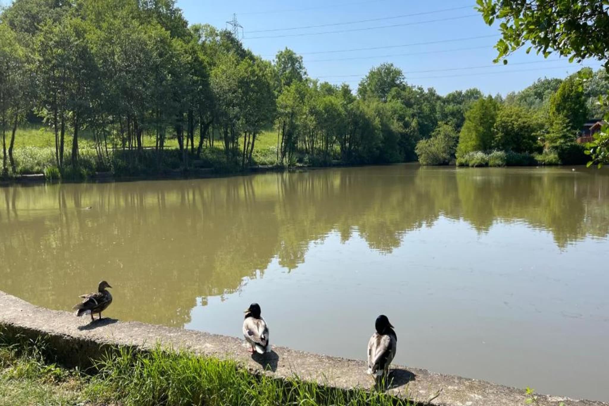 Little Dunley - Willow-Gebieden zomer 5km