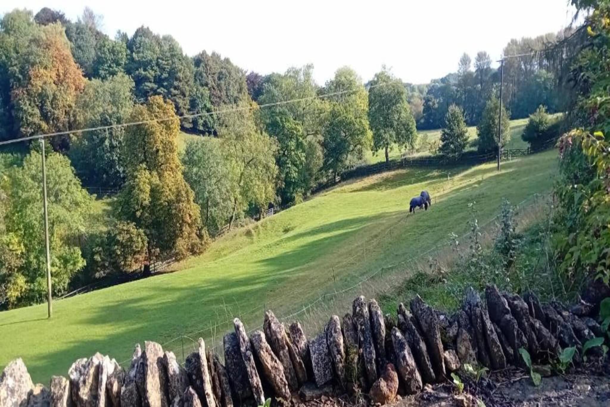 The Campion-Areas summer 20km