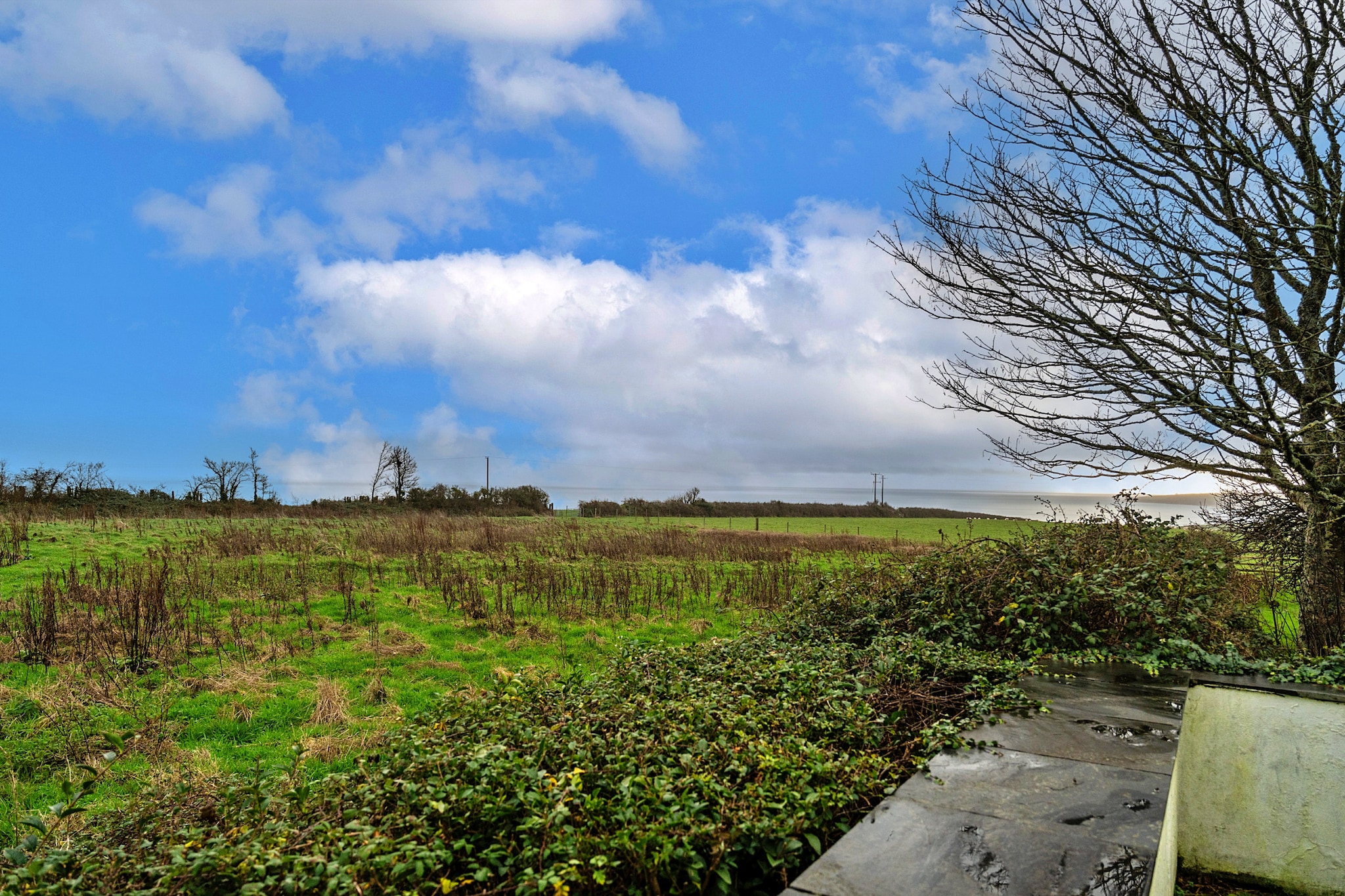 Dingles Cottage-Buitenlucht