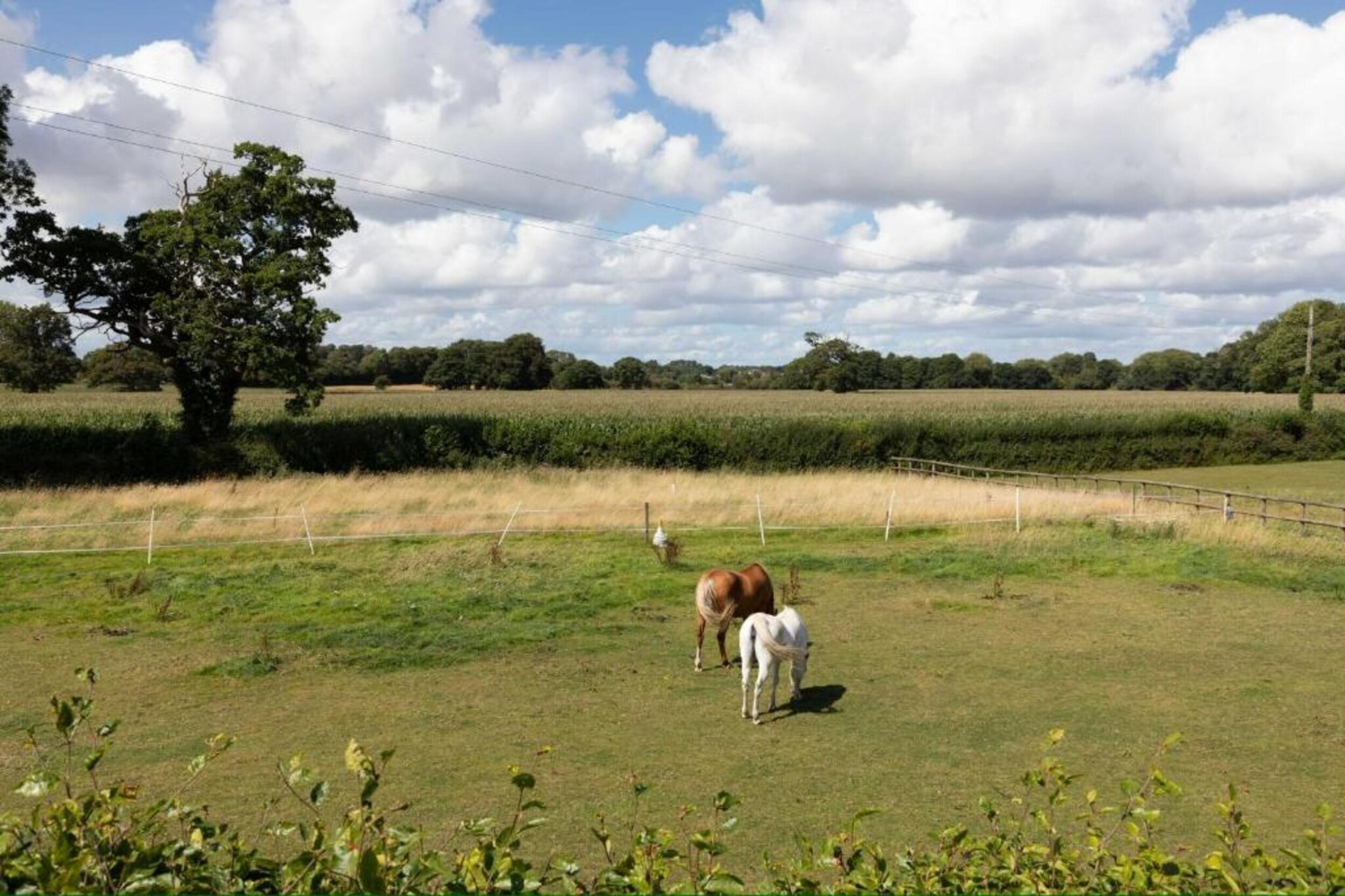 Netley Hall - Rosemary-Gebiete Sommer 20 km
