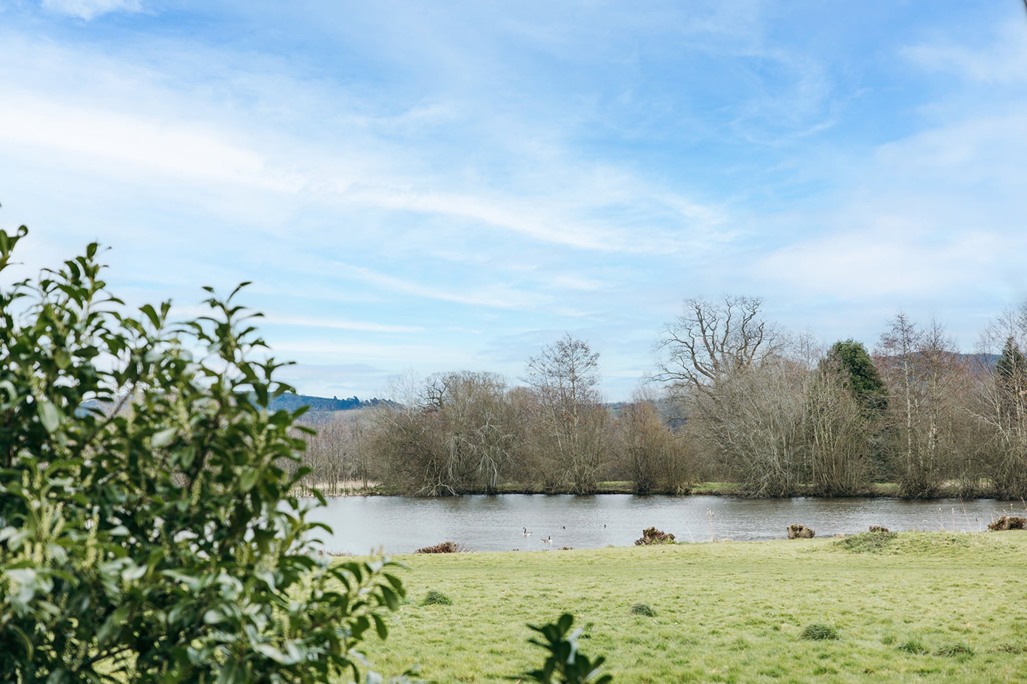 Netley Hall - Camelia-Buitenlucht