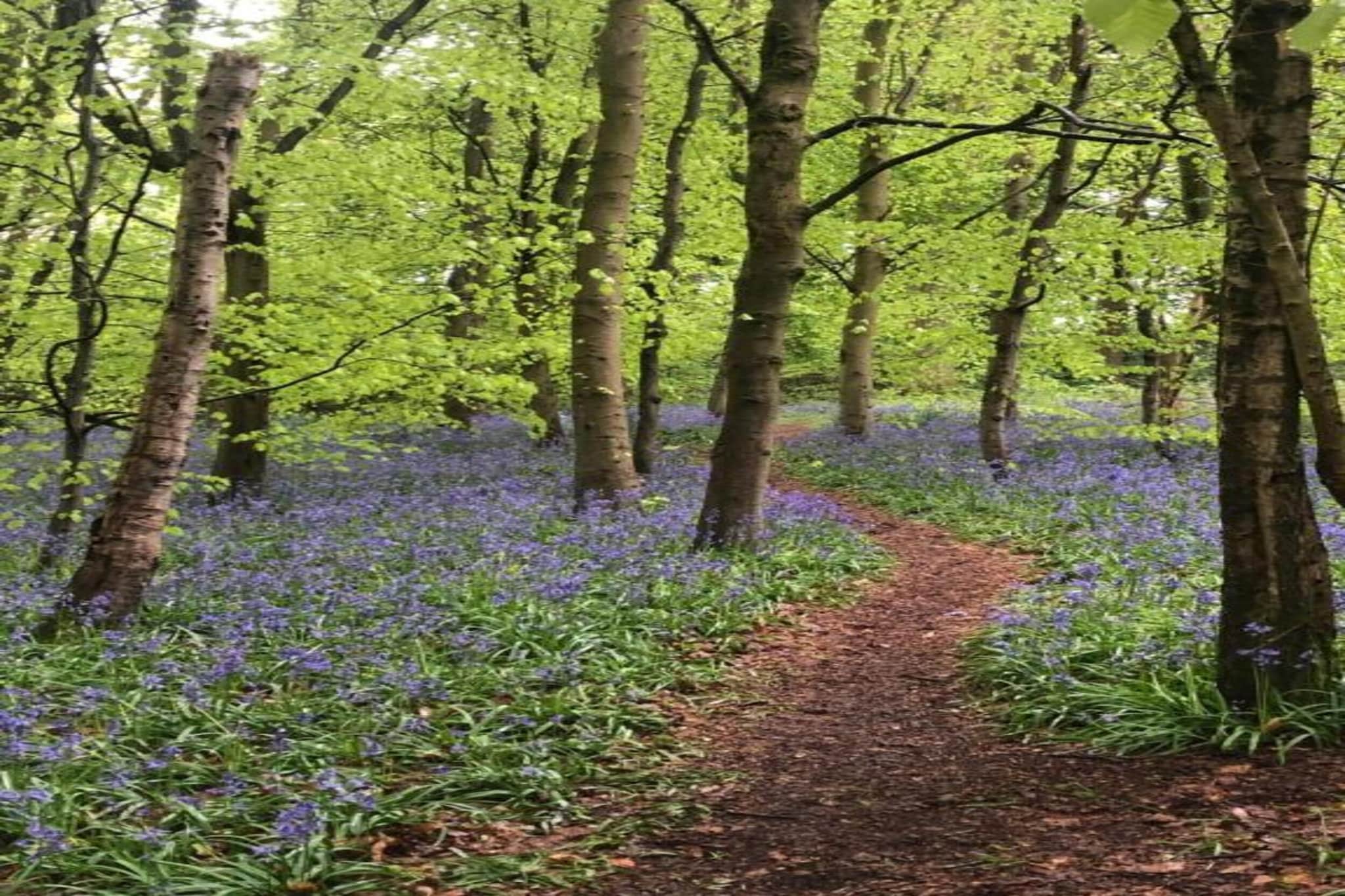 Netley Hall - Poppy-Gebiete Sommer 5 km