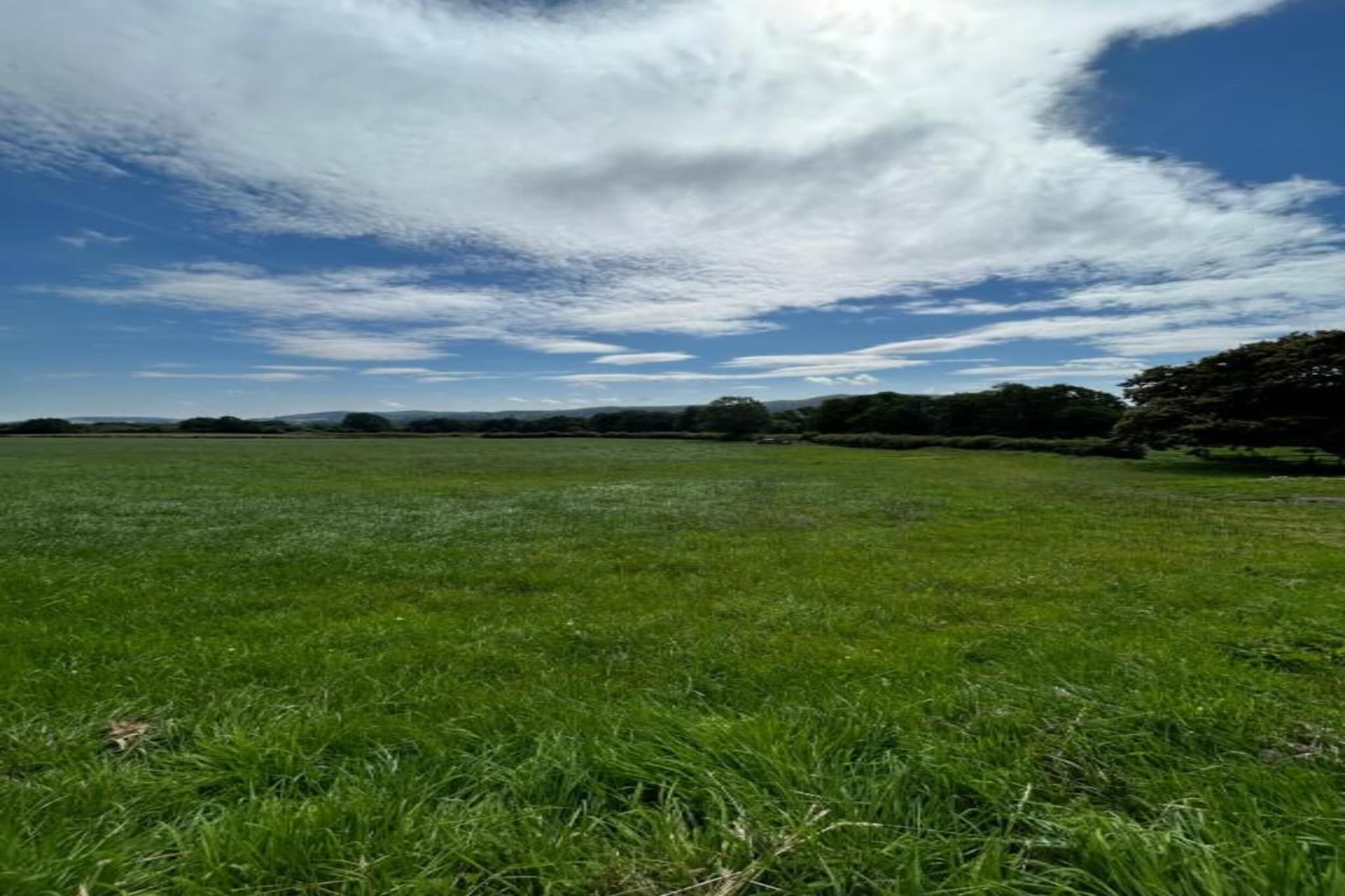 Netley Hall - Poppy-Gebiete Sommer 5 km