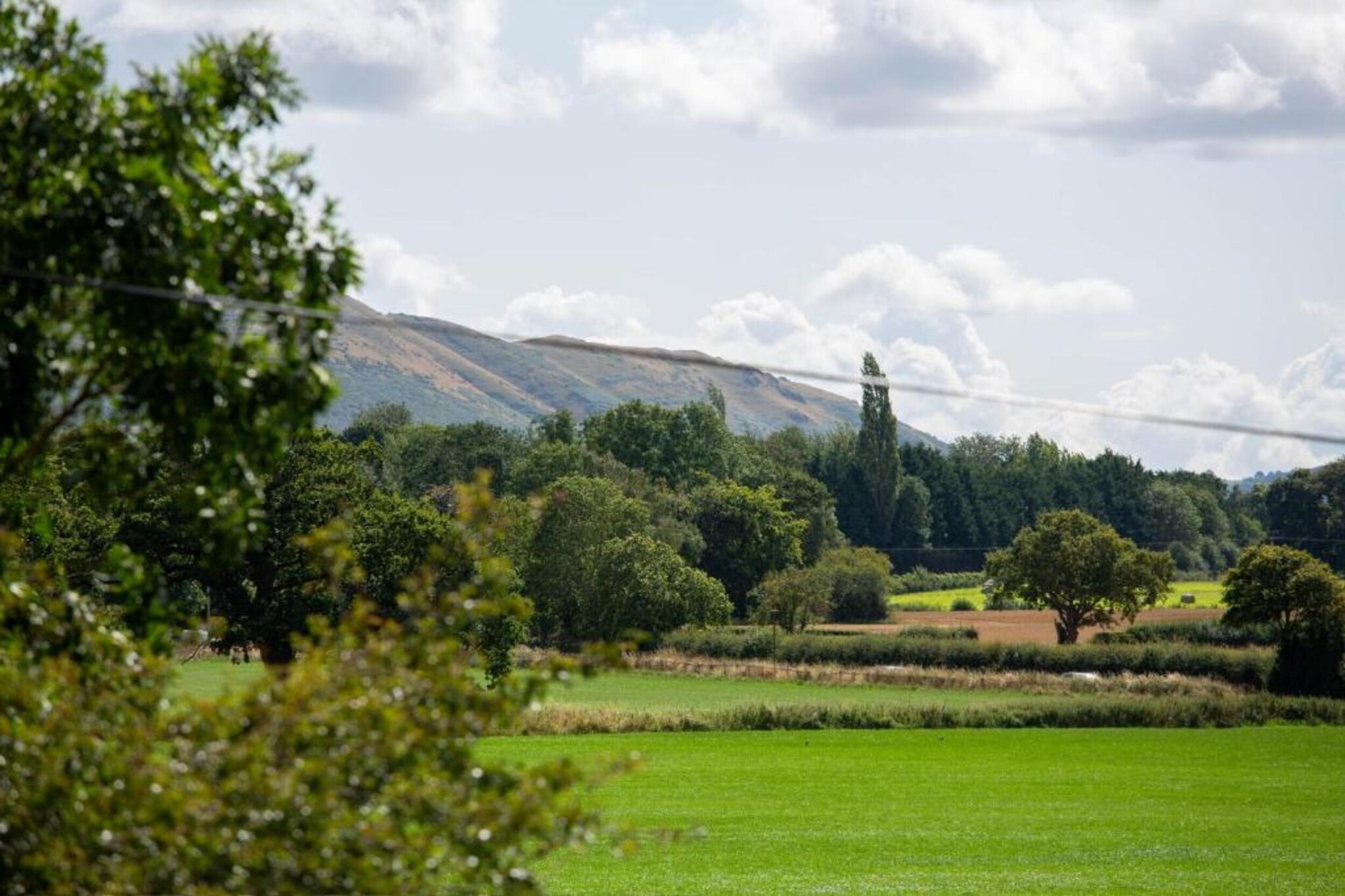 Netley Hall - Poppy-Gebiete Sommer 5 km