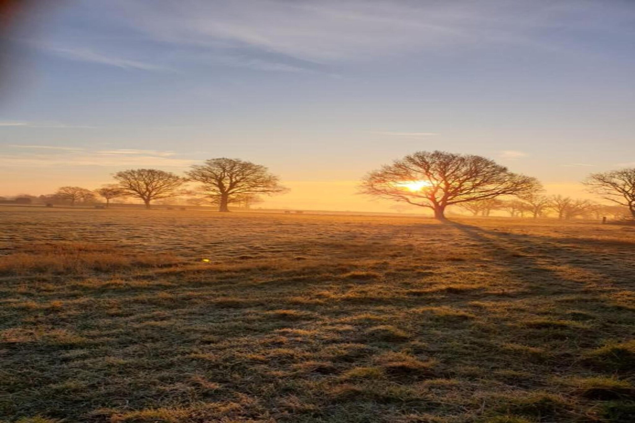 Netley Hall - Peach Tree-Gebiete Sommer 5 km