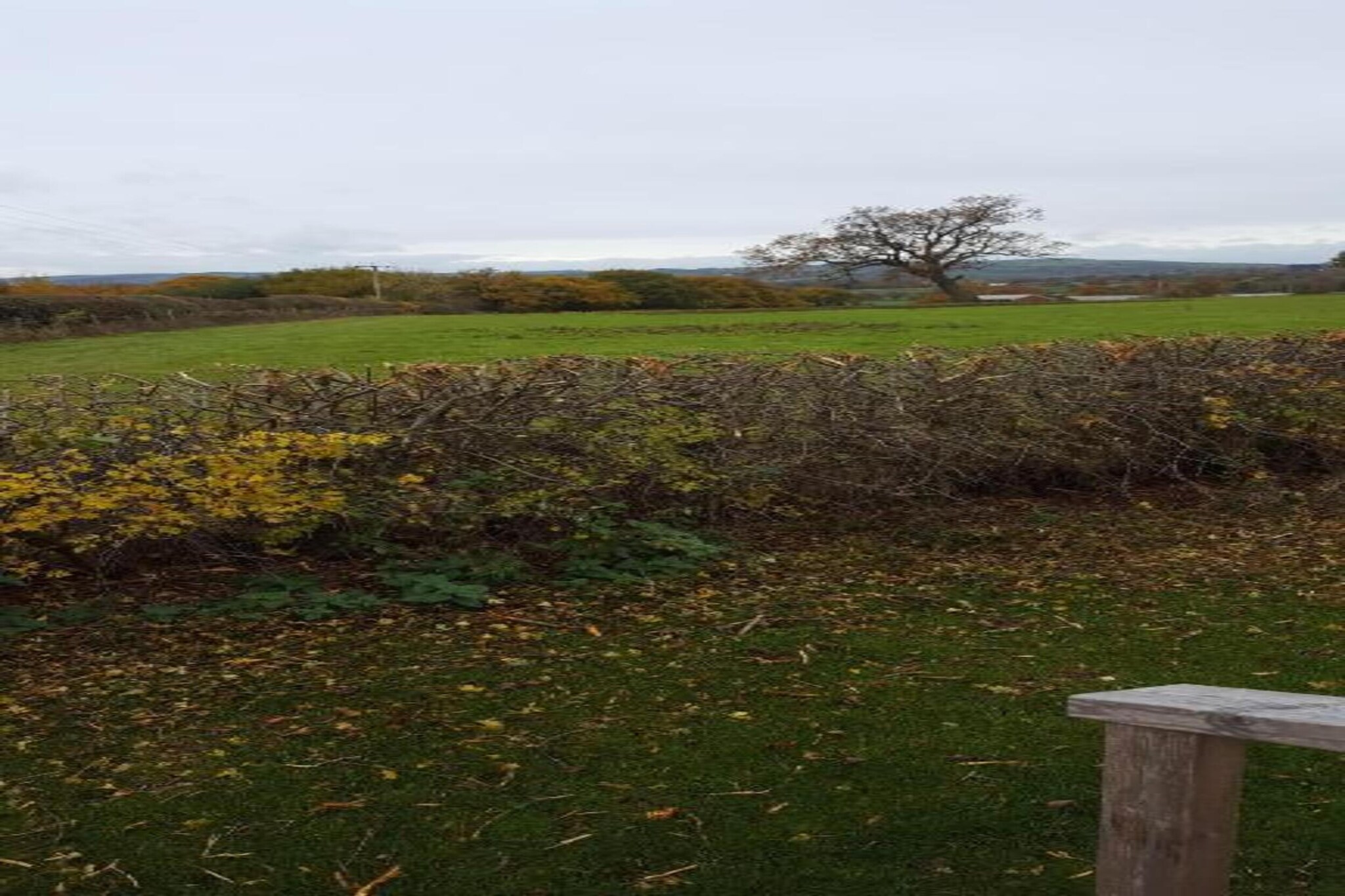 Netley Hall - Mulberry-Gebiete Sommer 20 km