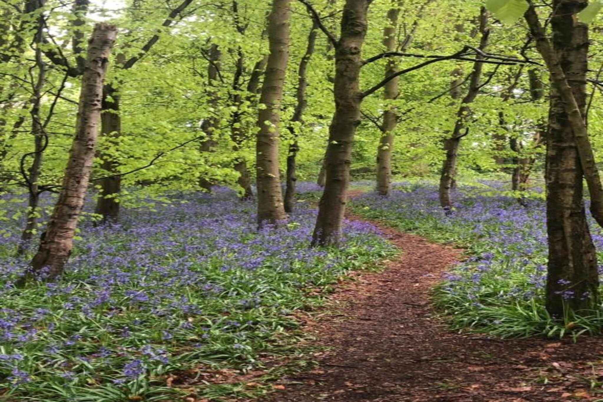 Netley Hall - Mulberry-Gebiete Sommer 20 km