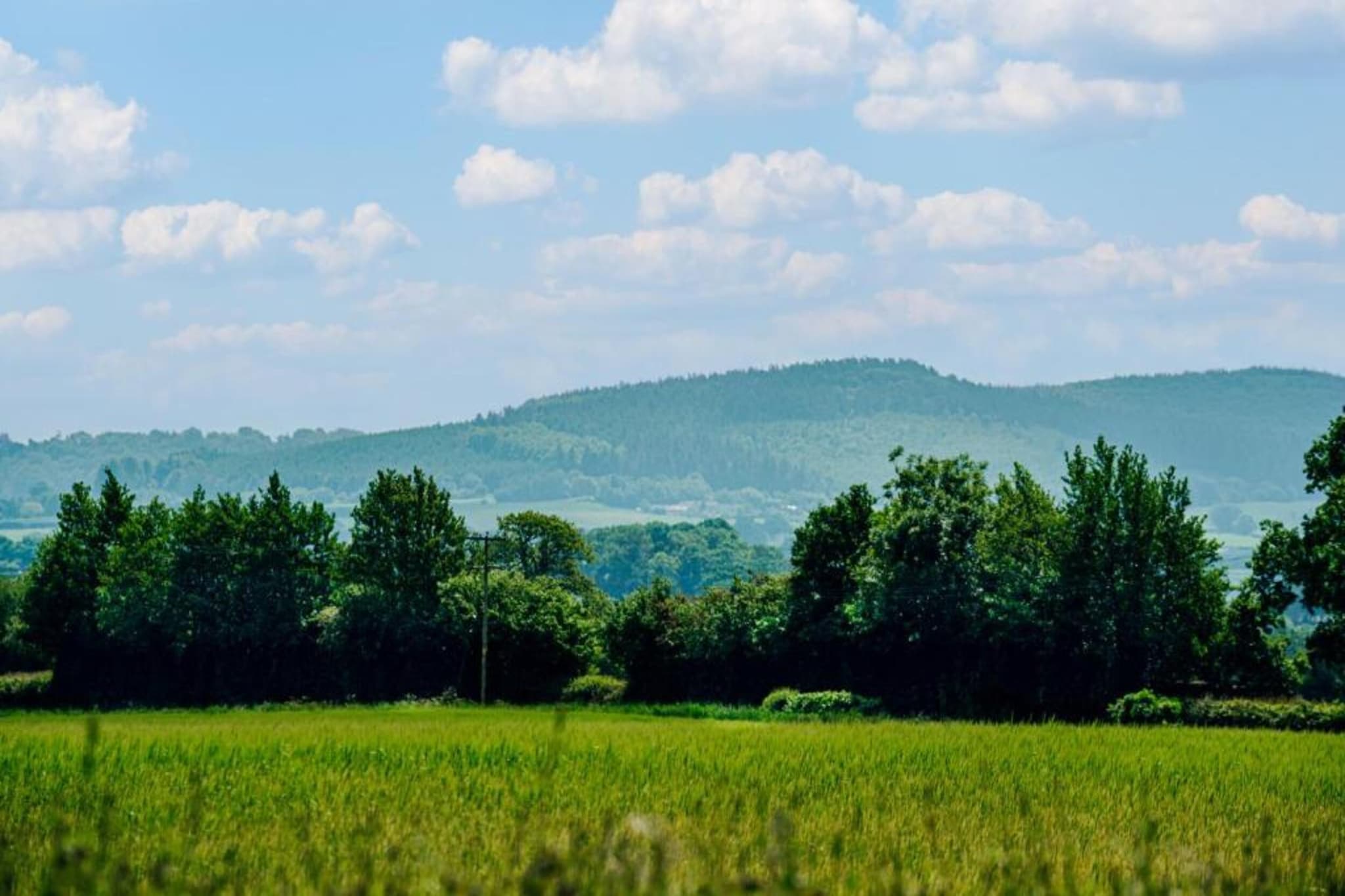 Netley Hall - Mulberry-Gebiete Sommer 20 km