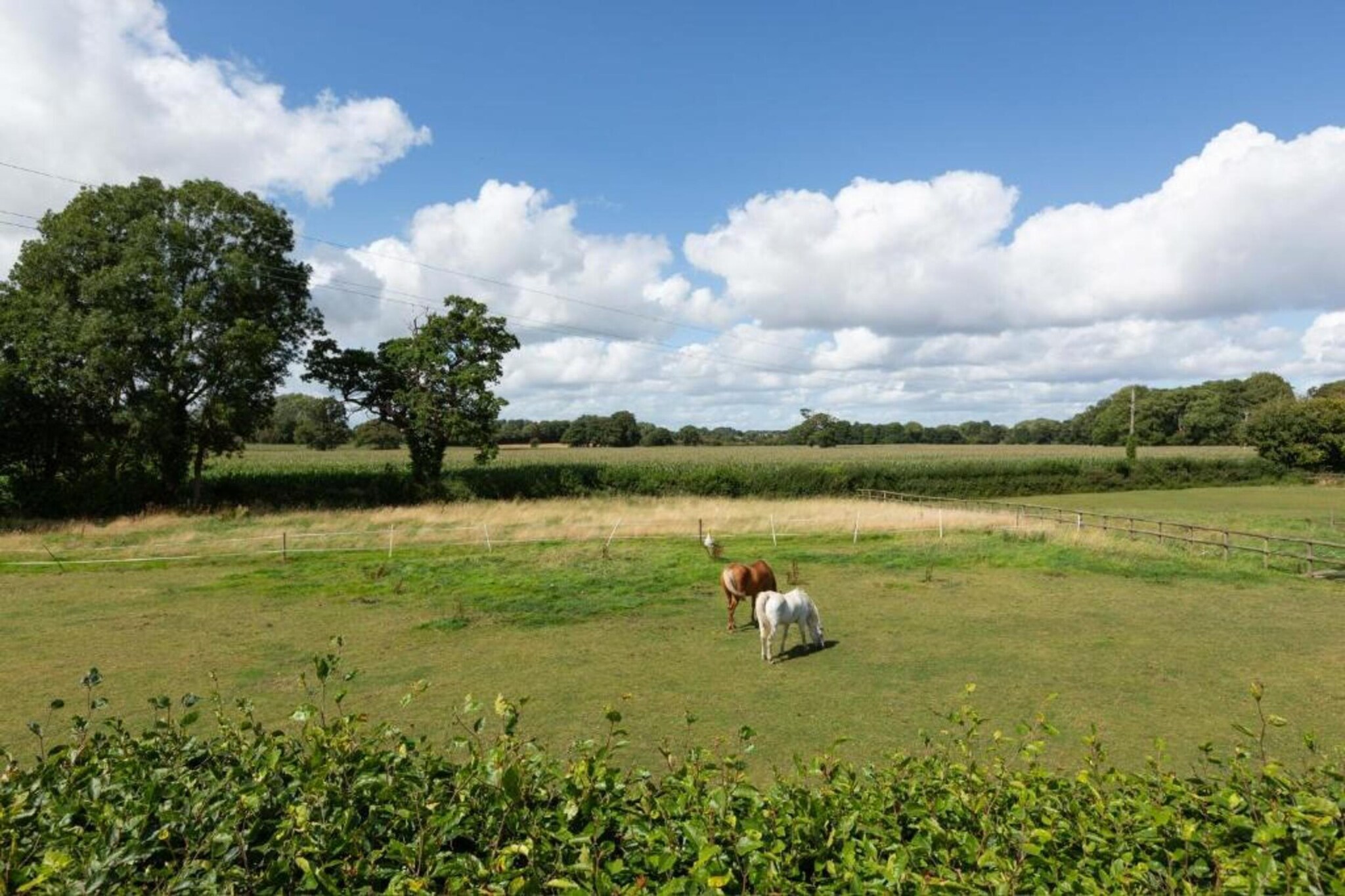 Netley Hall - Thyme-Gebiete Sommer 5 km