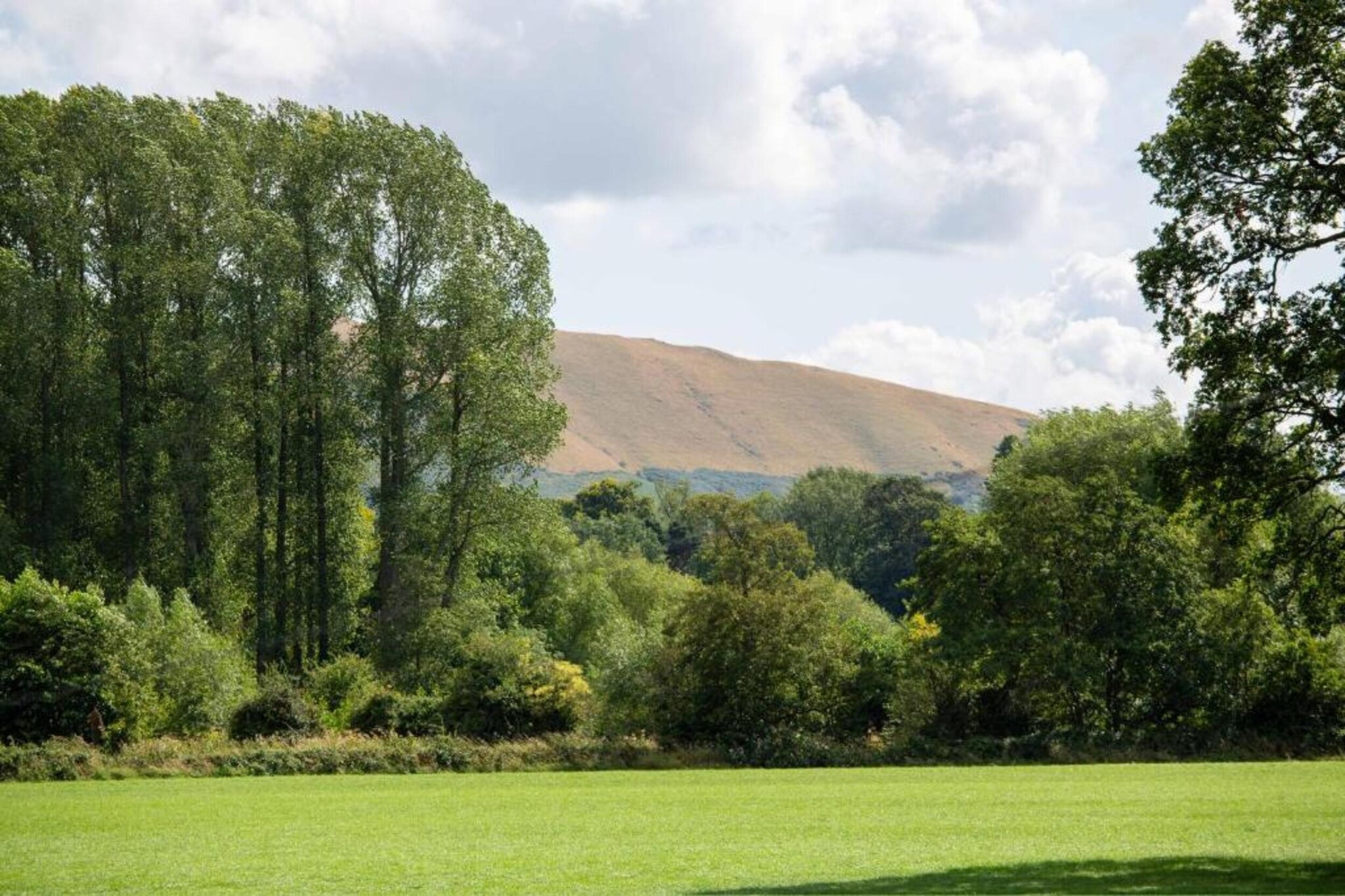 Netley Hall - Thyme-Gebiete Sommer 5 km
