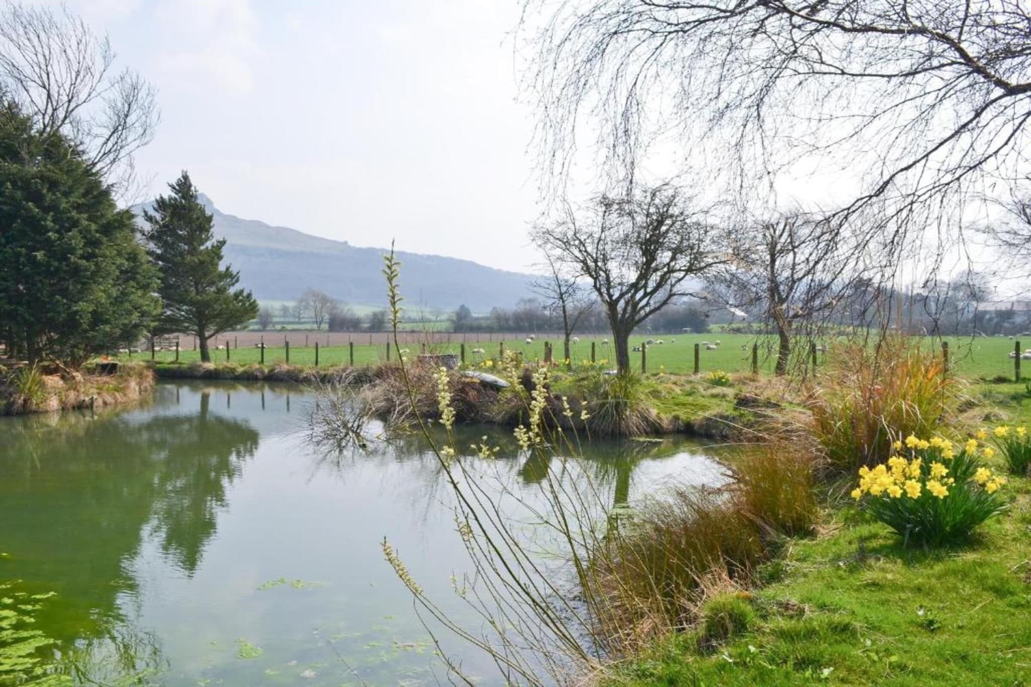 Ingleby Manor - Courtyard Cottage-Gebieden zomer 20km