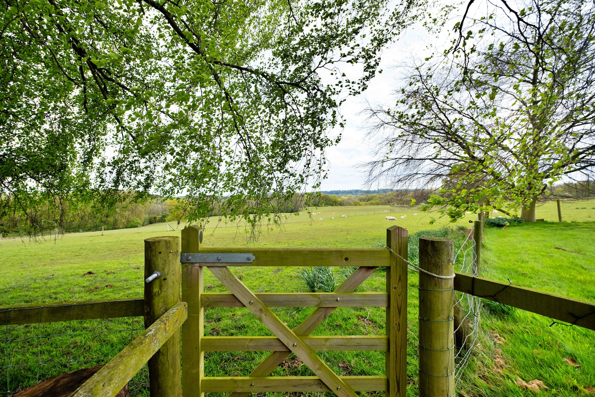 Hay and Hedgerow Glamping-Tuinen zomer