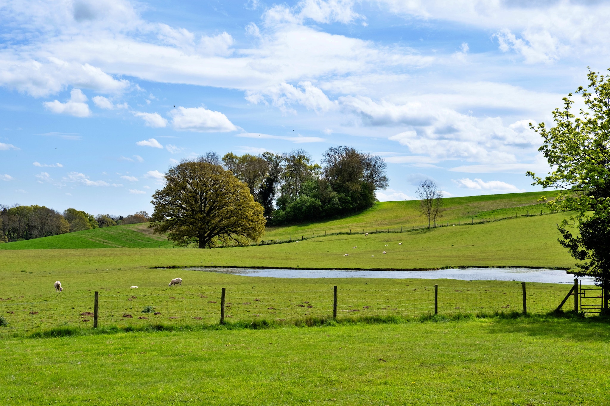 Hay and Hedgerow Glamping-Tuinen zomer
