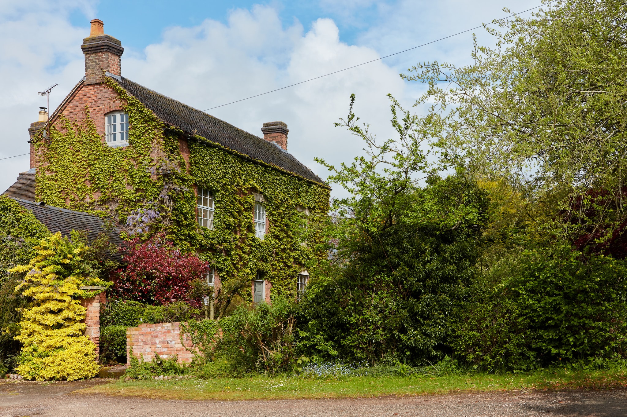 Nether Burrows Farm-Buitenlucht