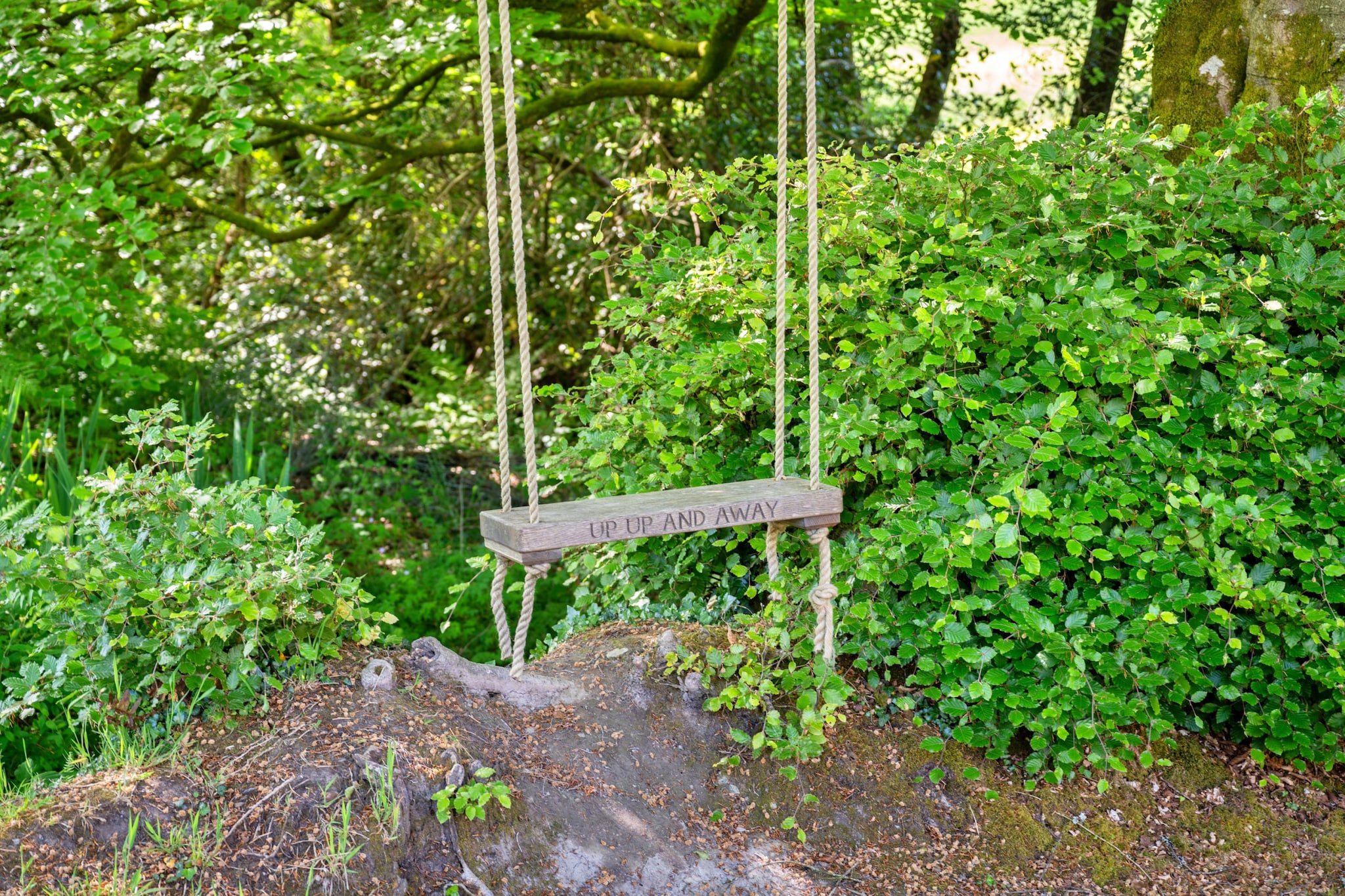 Dingles Farm Annexe