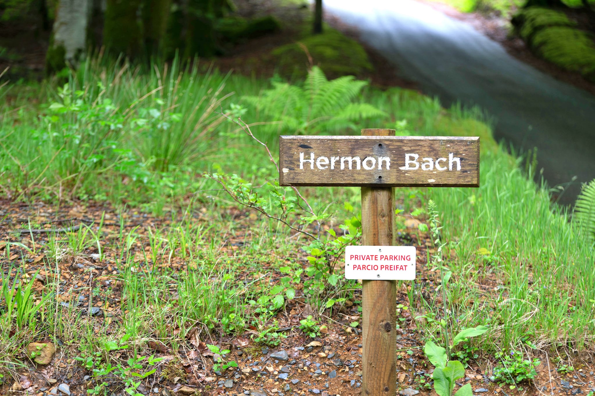 Hermon Bach-Tuinen zomer