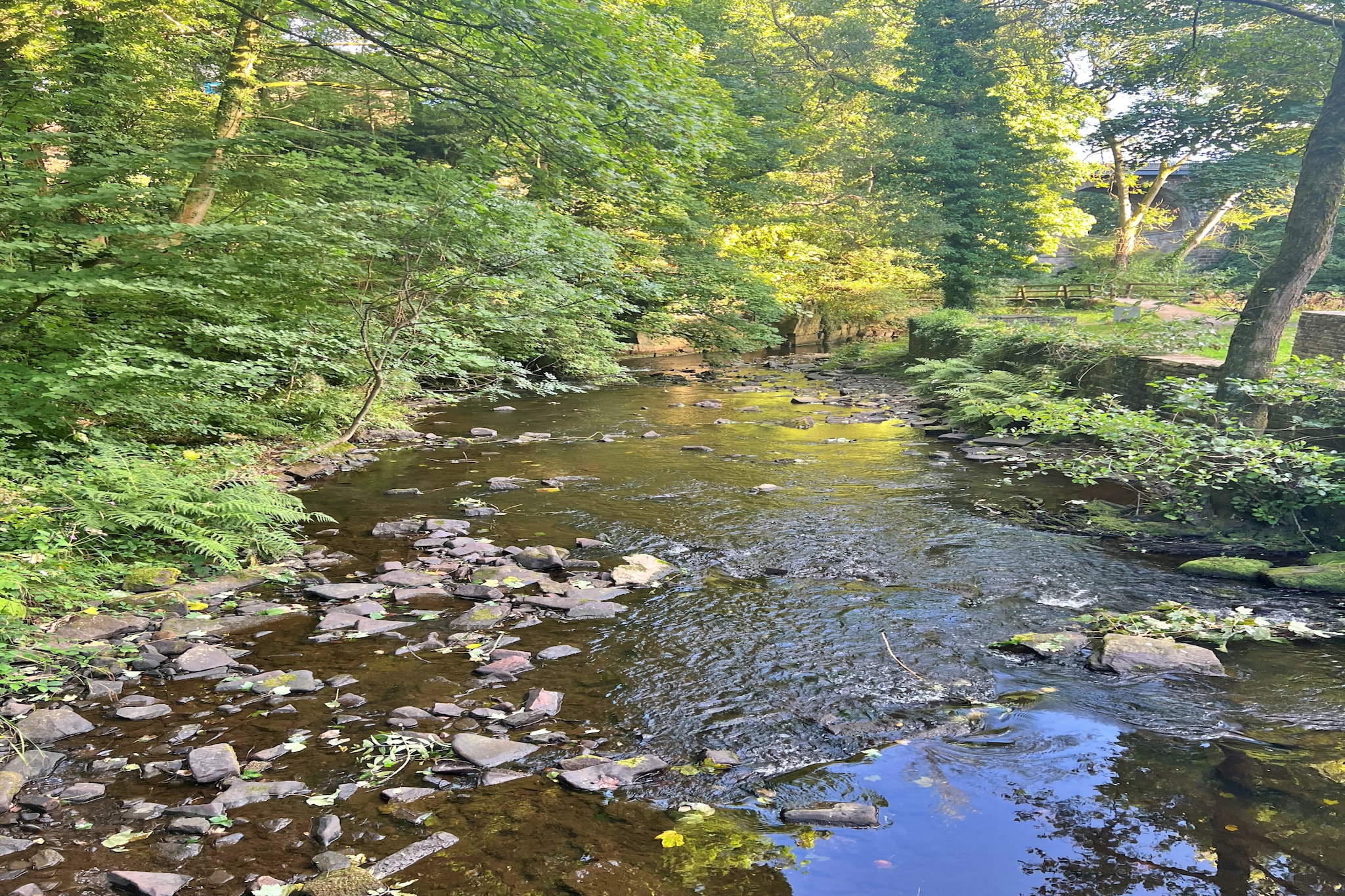 Suzy's Cottage-Gebieden zomer 5km