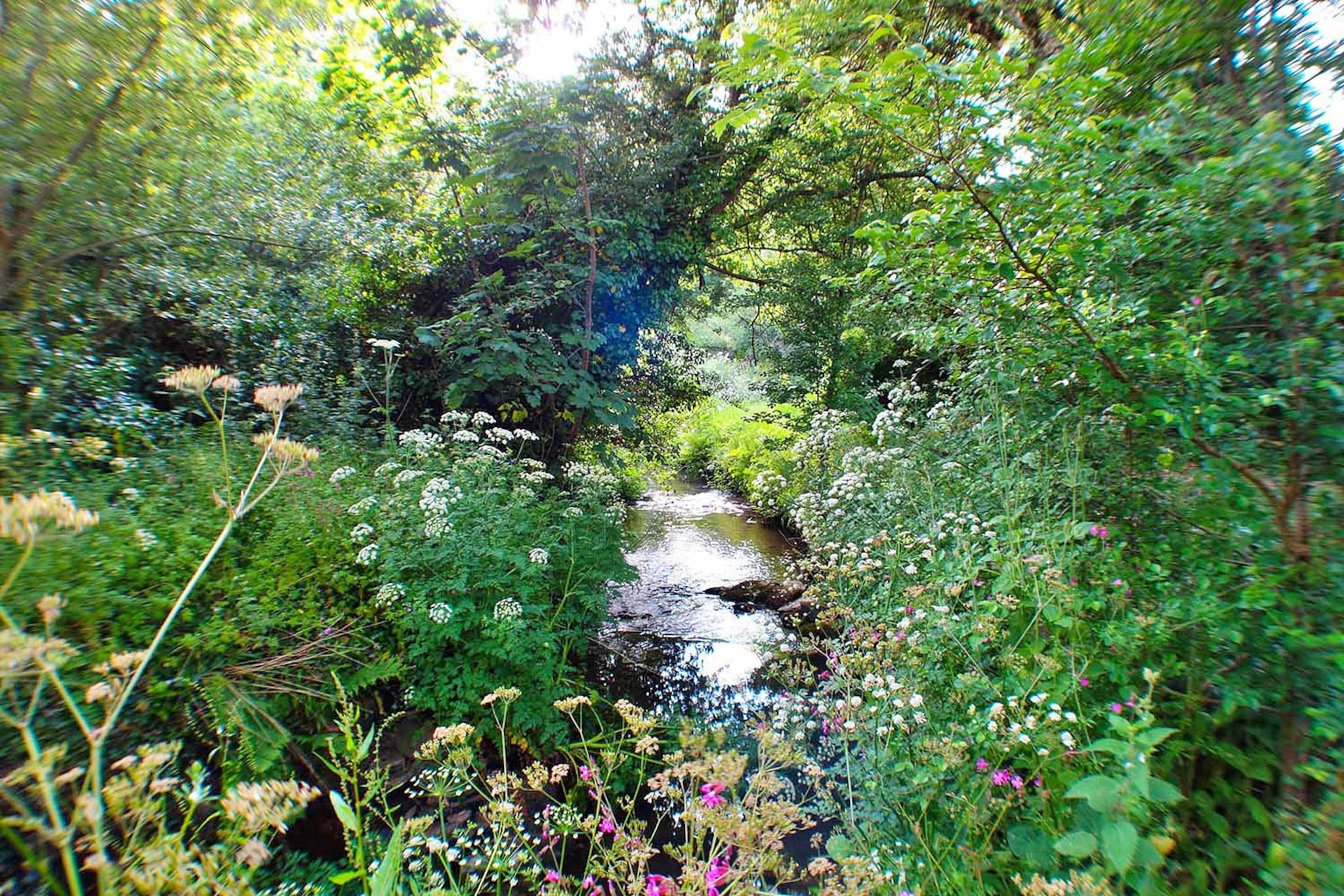 Porthcothan Mill Cottage-Buitenlucht