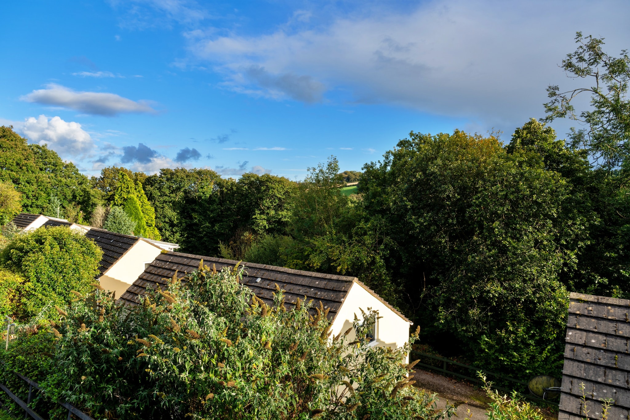 Forest Park Lodge-Tuinen zomer