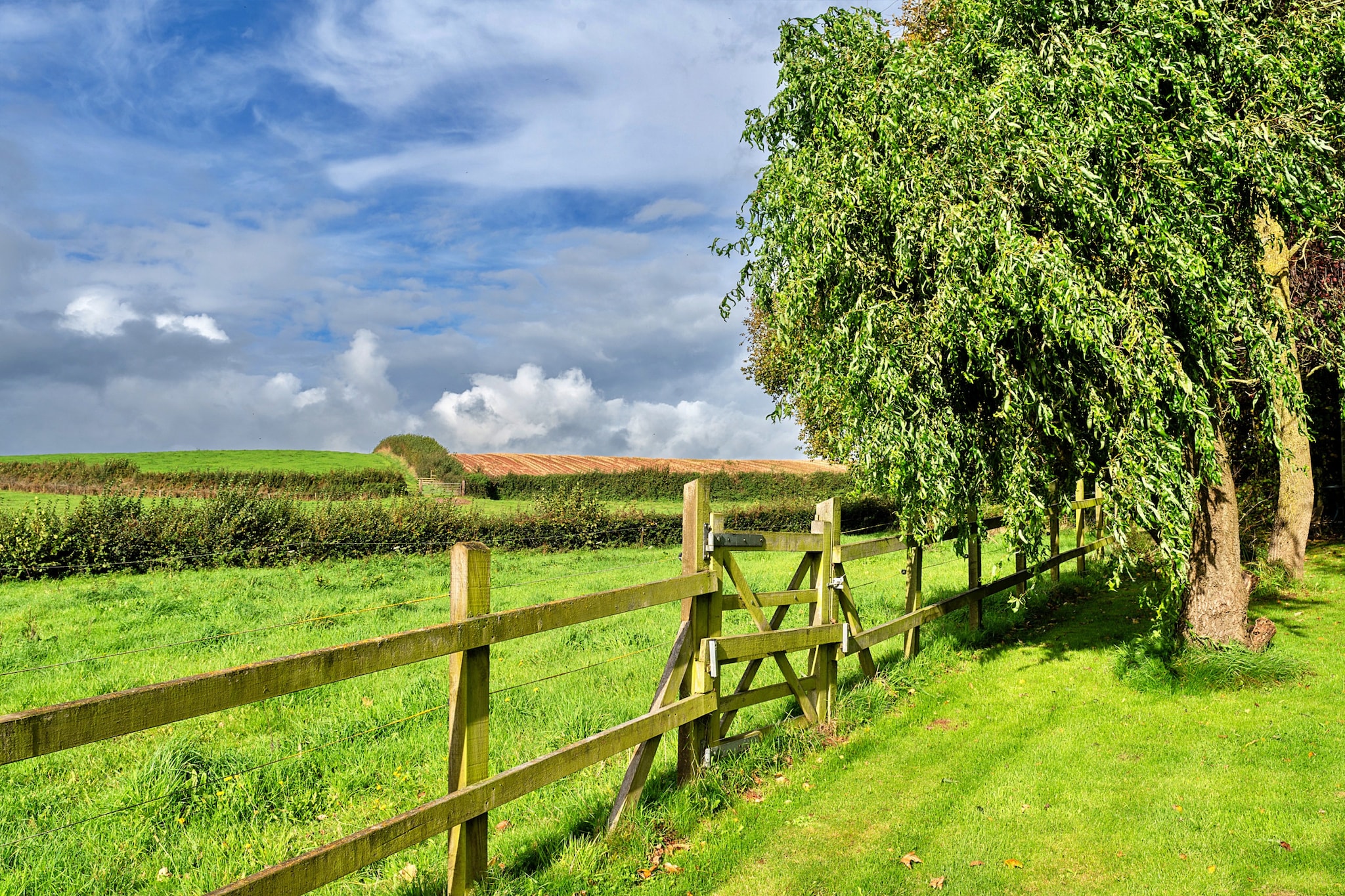 The Barn at Prowses Farm-Tuinen zomer