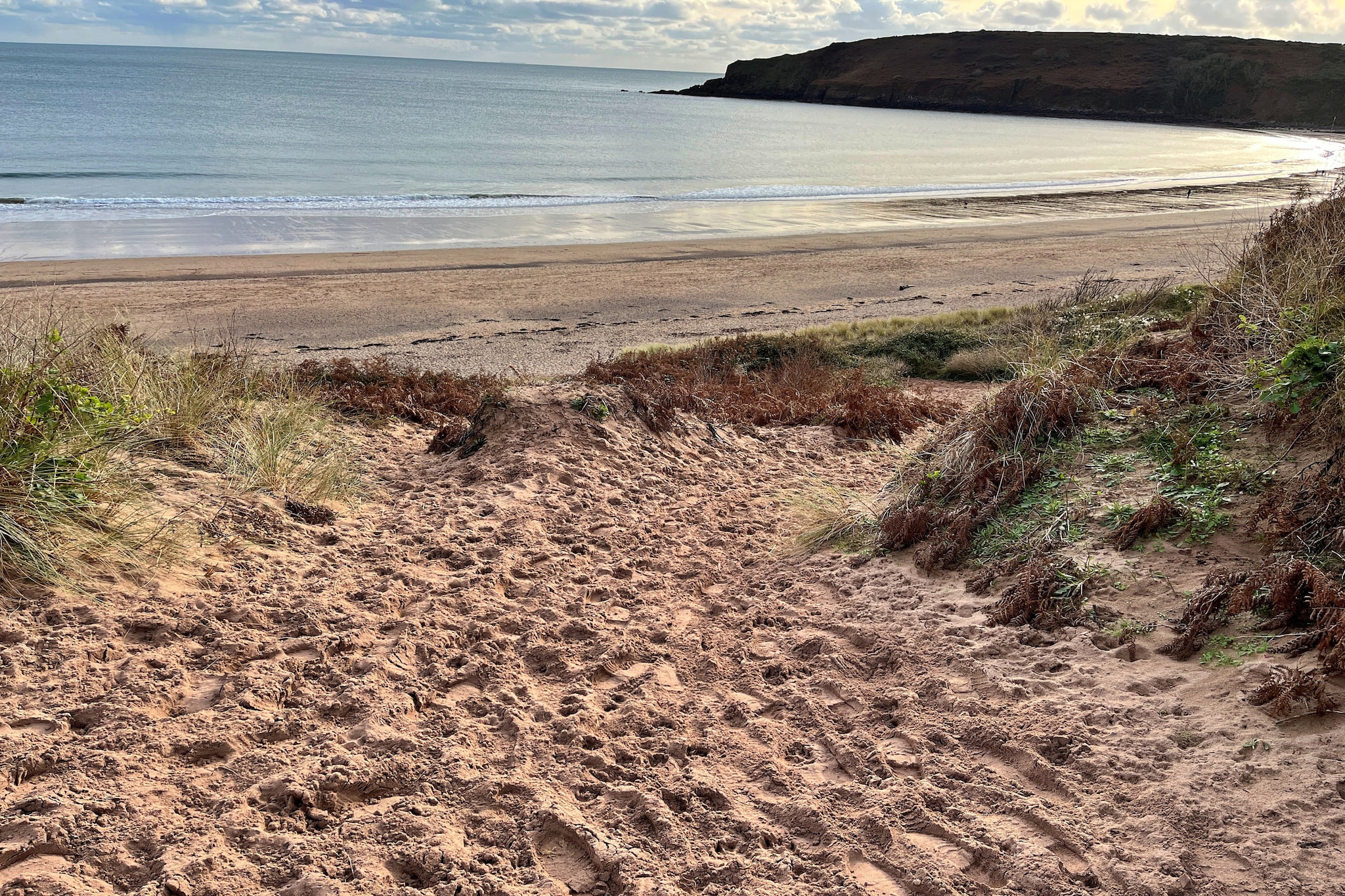 Beach Cove