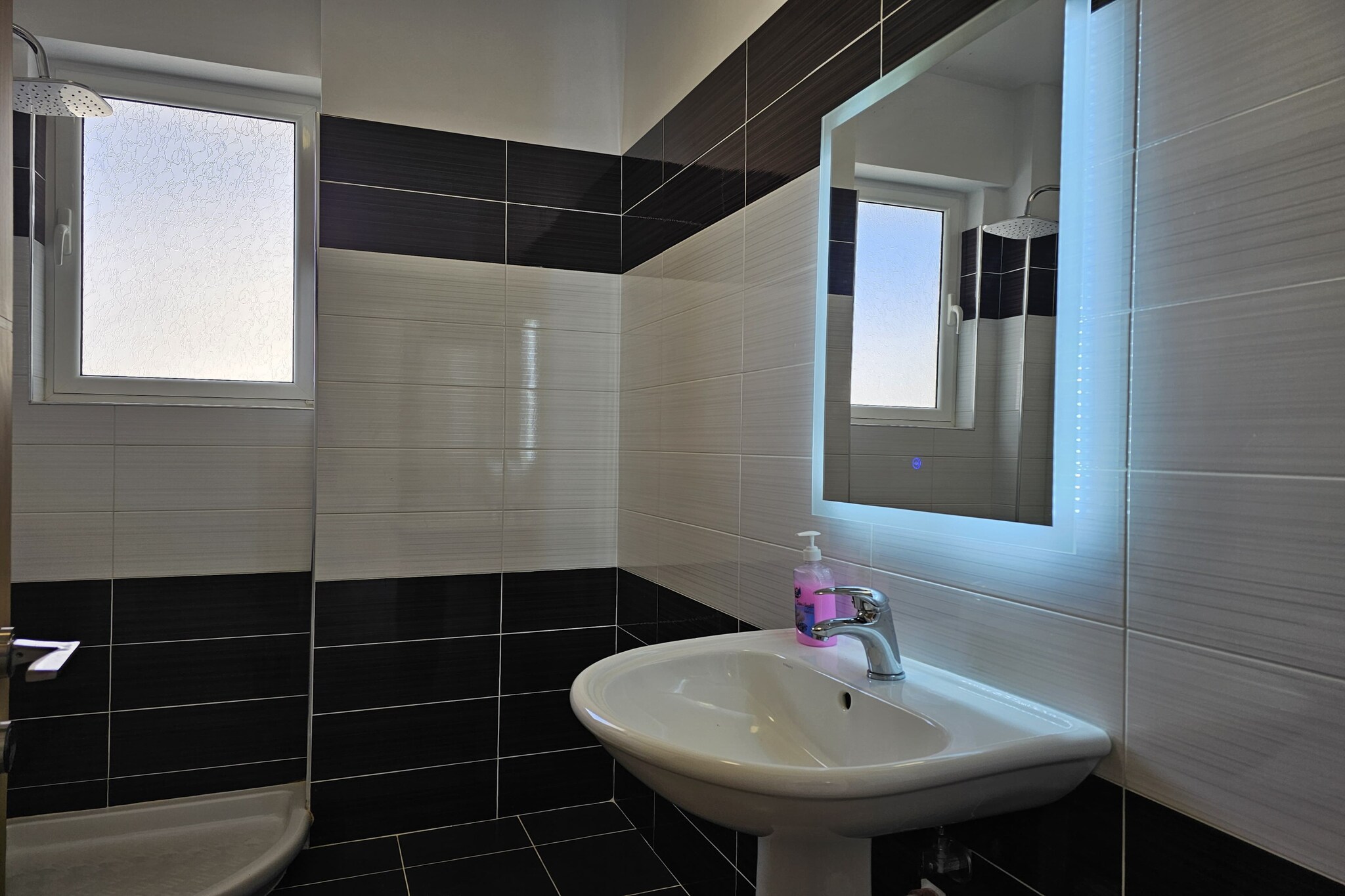 ALS110 - Roman Ap-Salle de bain