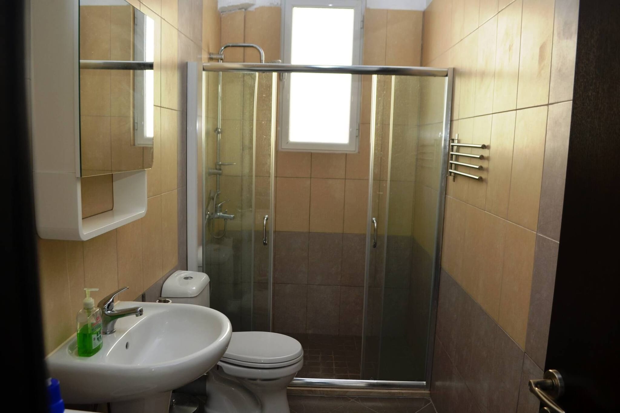 ALS059 - Gert Ap.-Salle de bain