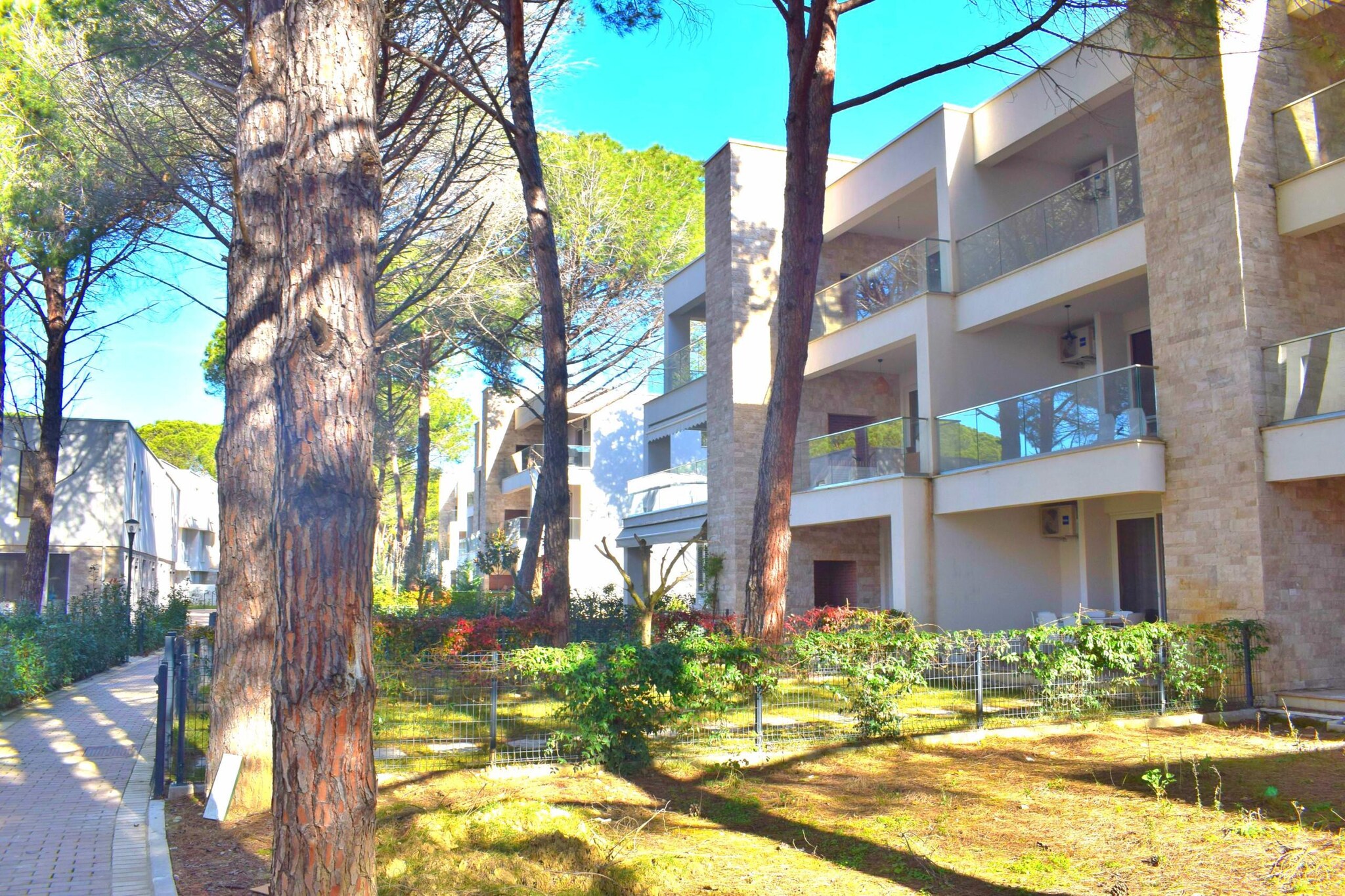 ALD285 - Zsolt San Pietro Lalez-Areas summer 1km