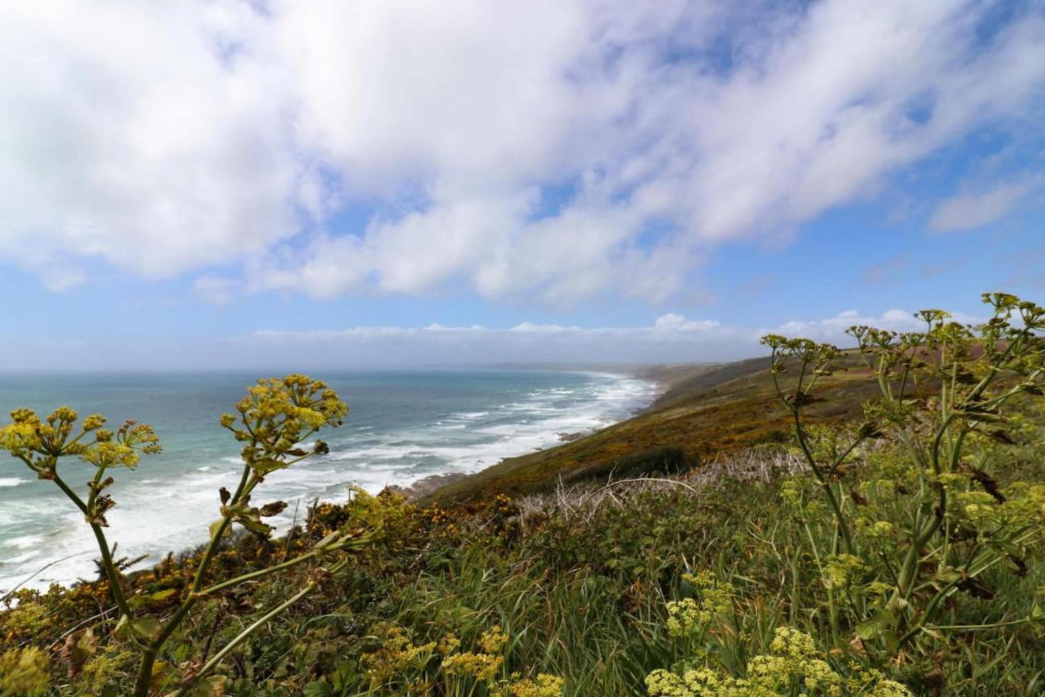 Cawsand Cottage-Gebieden zomer 1km