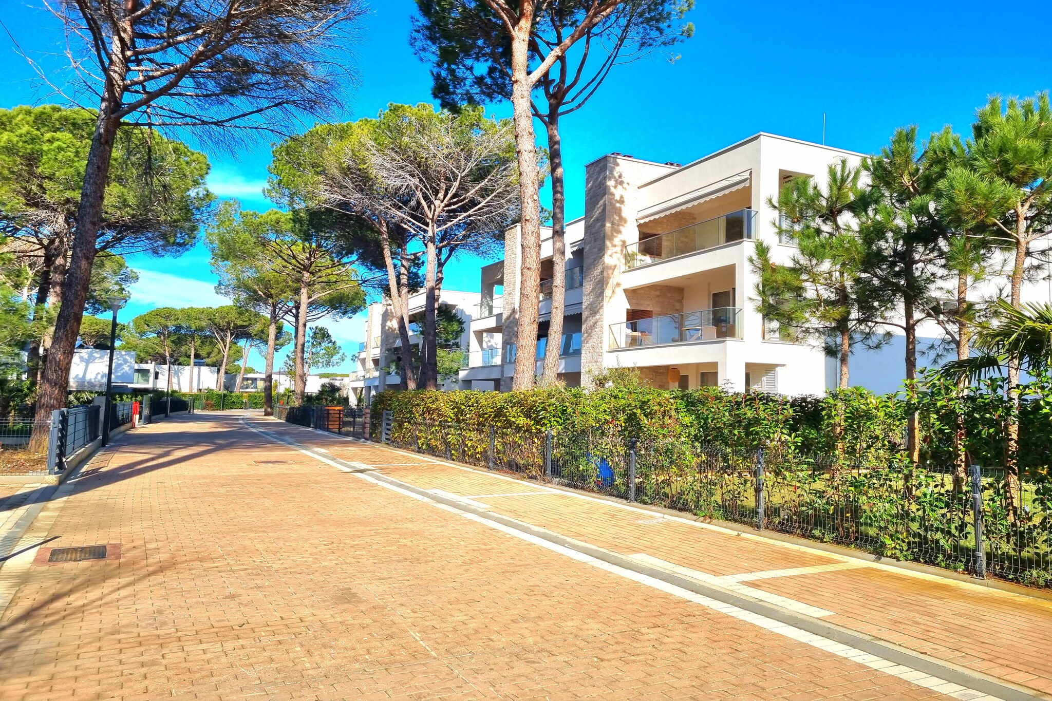 ALD294 - Josef San Pietro Lalez-Areas summer 1km