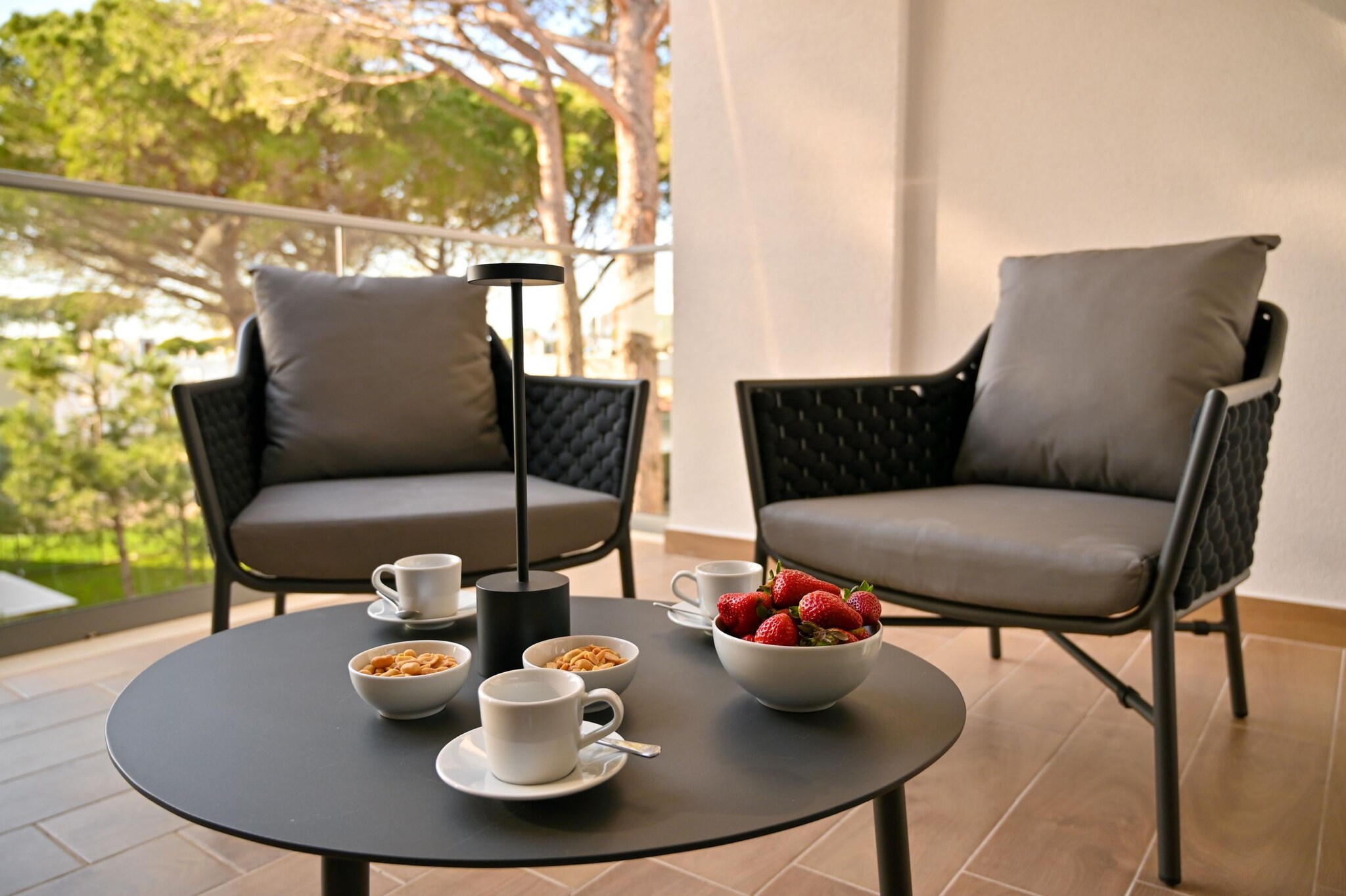 ALD298 - Konrad-Balcon-terrasse