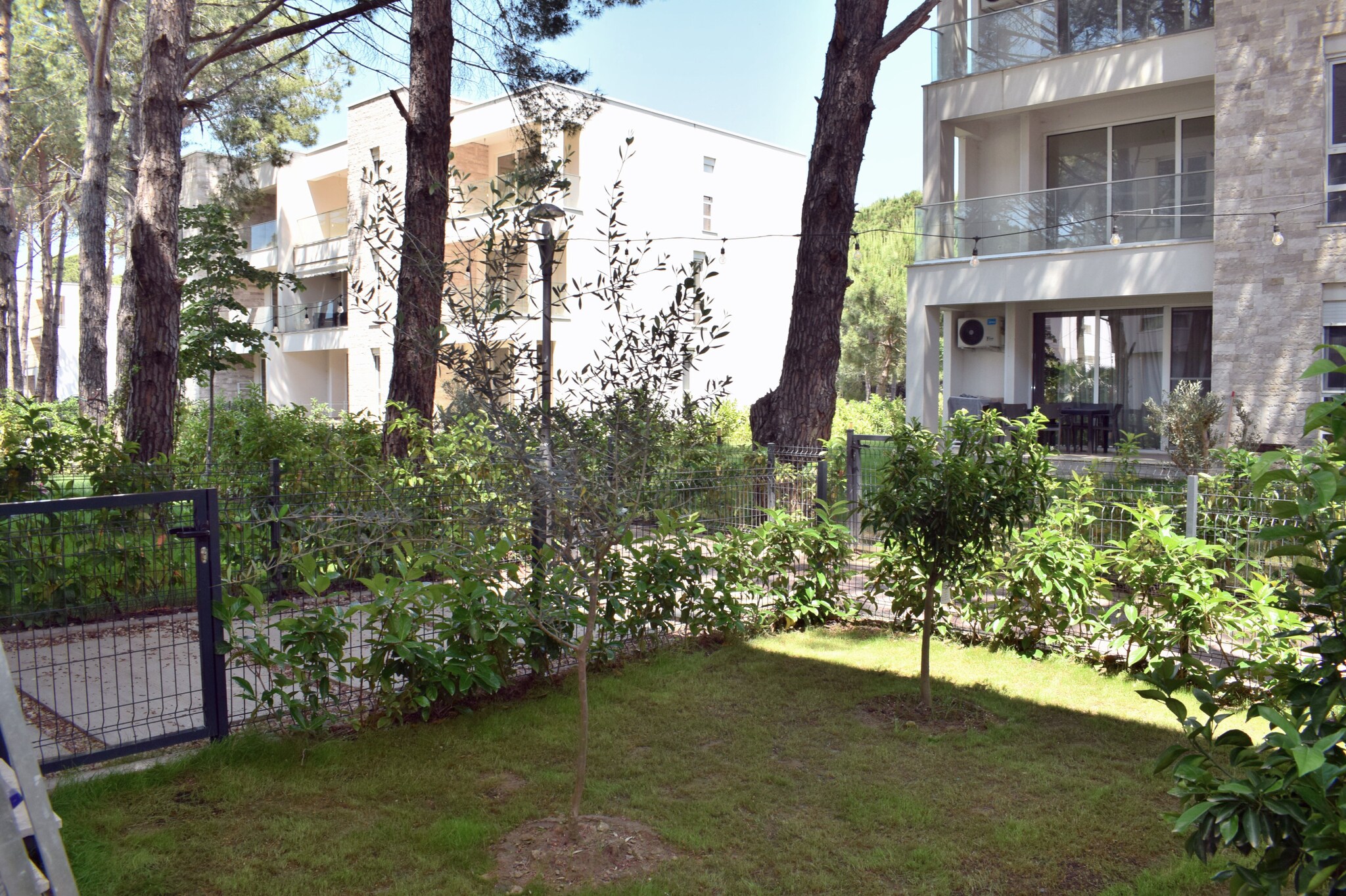 ALD283 - Besimi San Pietro Lalez-Gardens summer