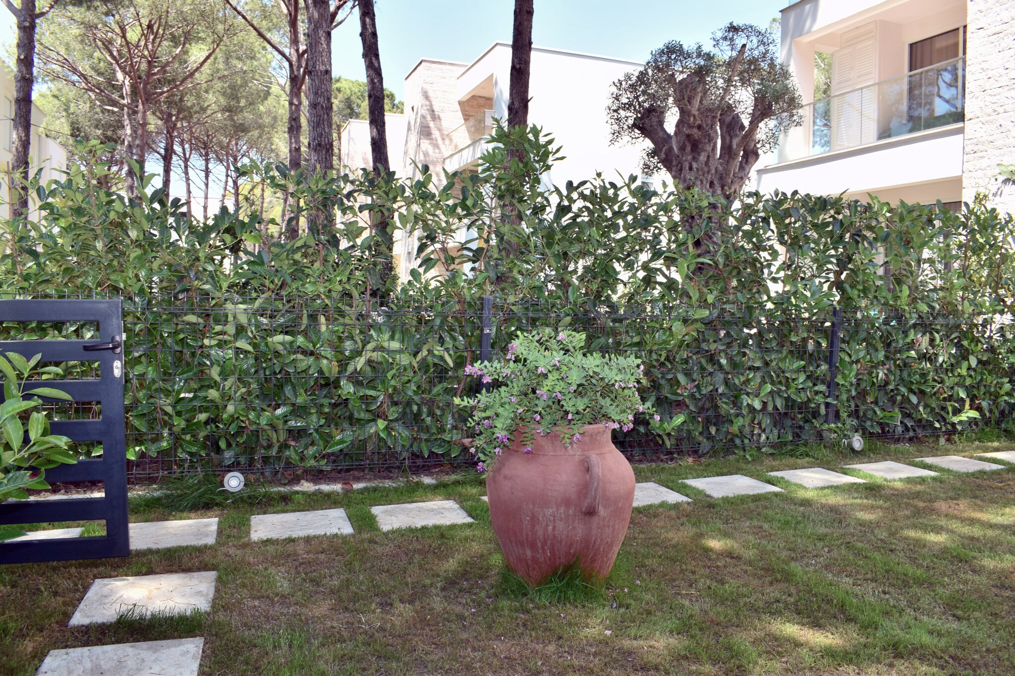 ALD283 - Besimi San Pietro Lalez-Gardens summer