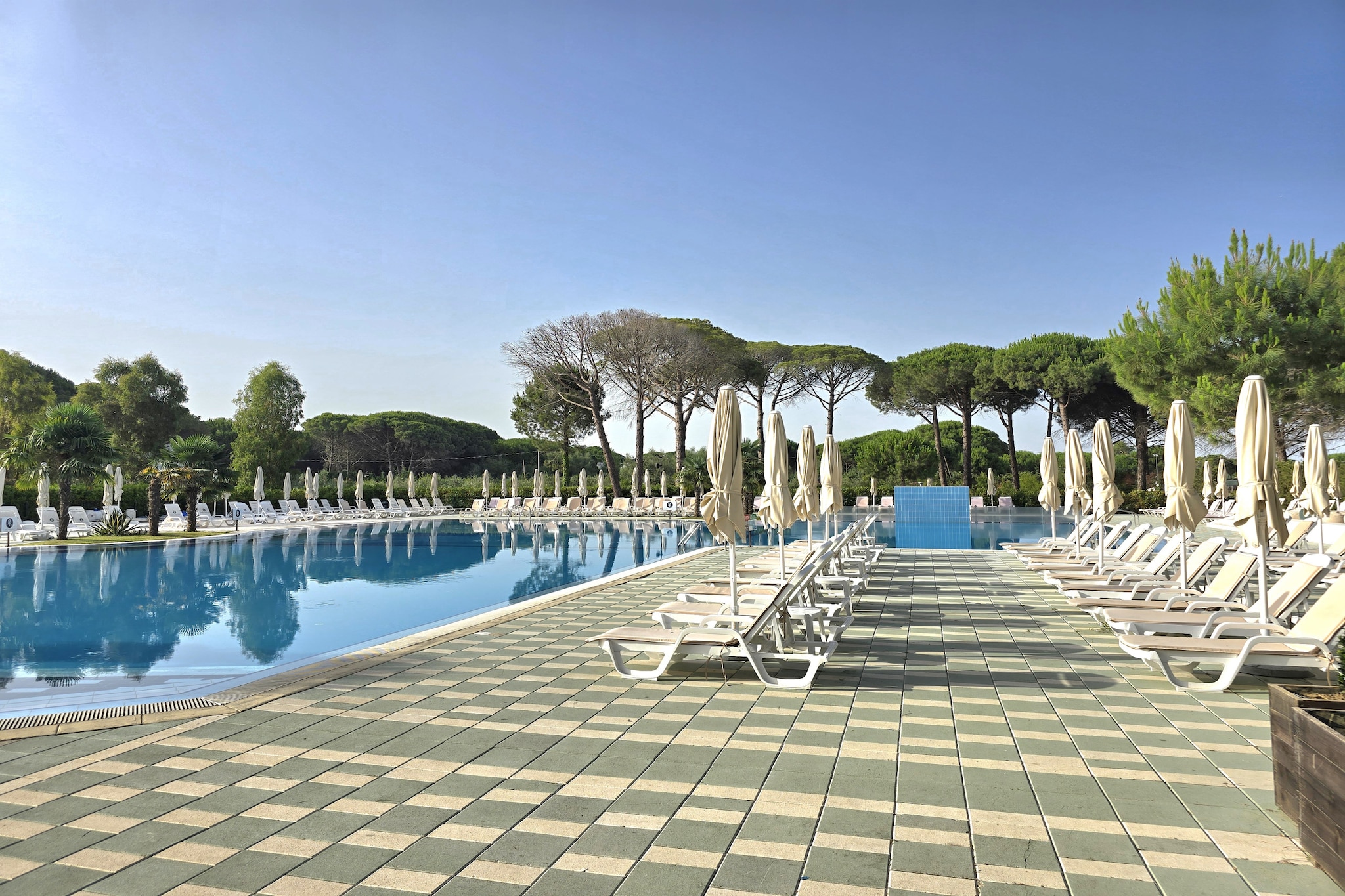 ALD202 - Lino 2-Pool
