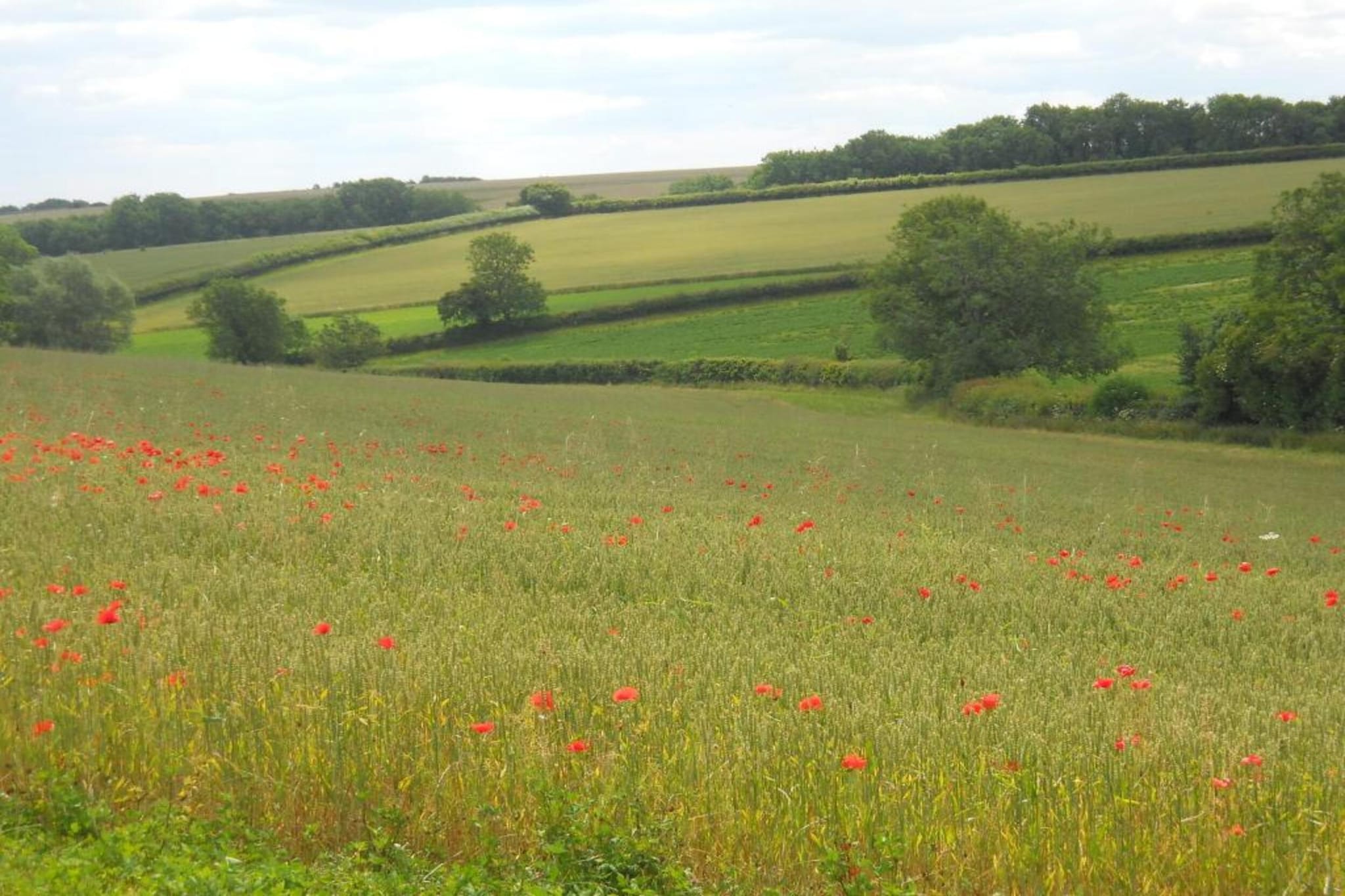 Little Rissington - Barn Six-Gebieden zomer 20km