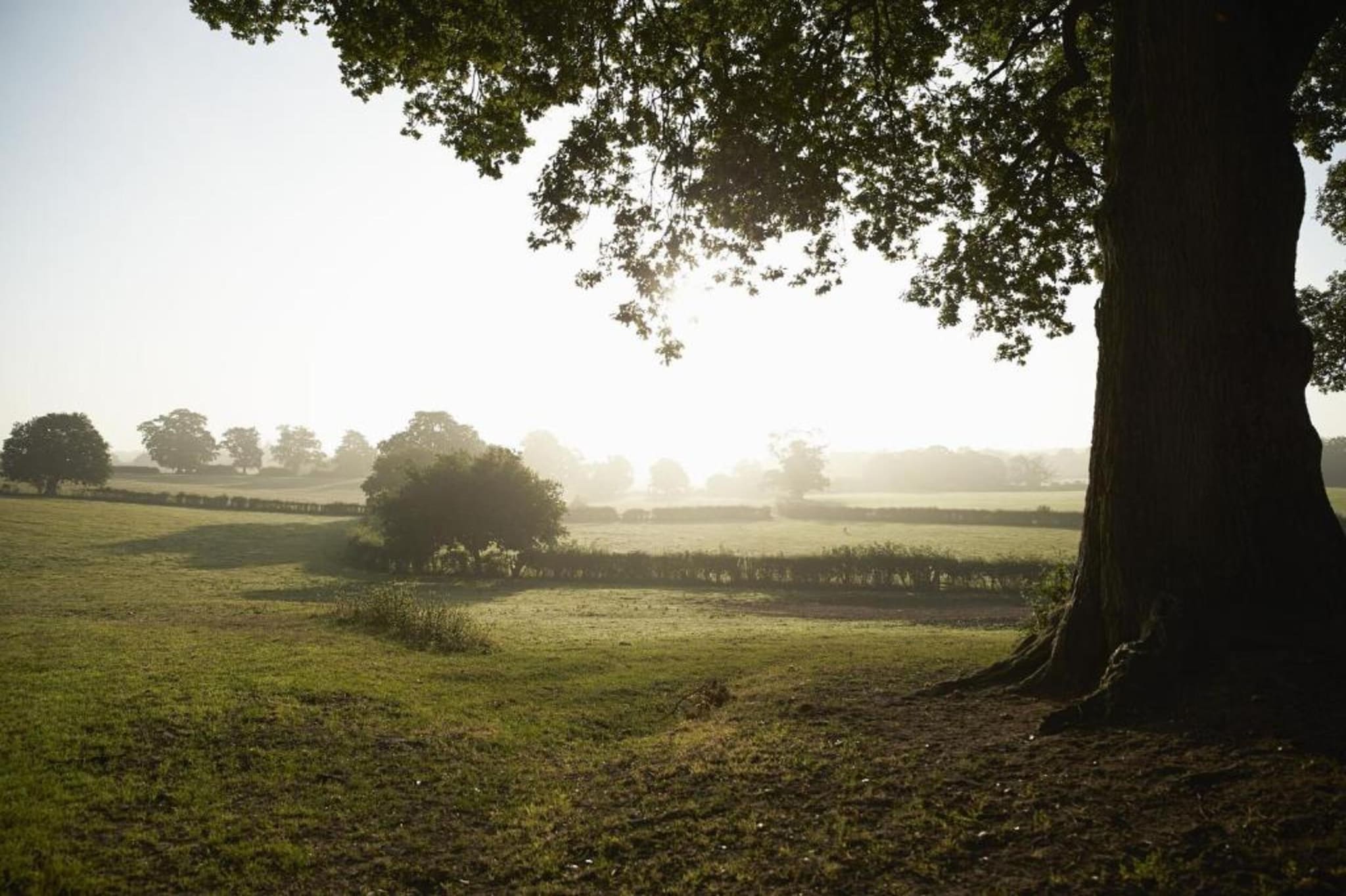 Little Rissington - Barn Seven-Gebieden zomer 20km