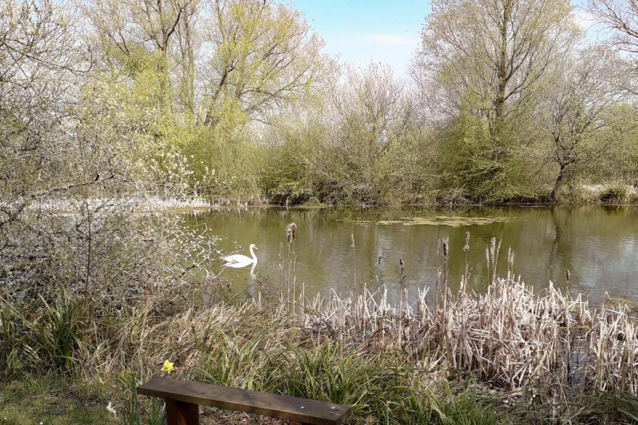 Little Rissington - The Annexe-Gebieden zomer 20km