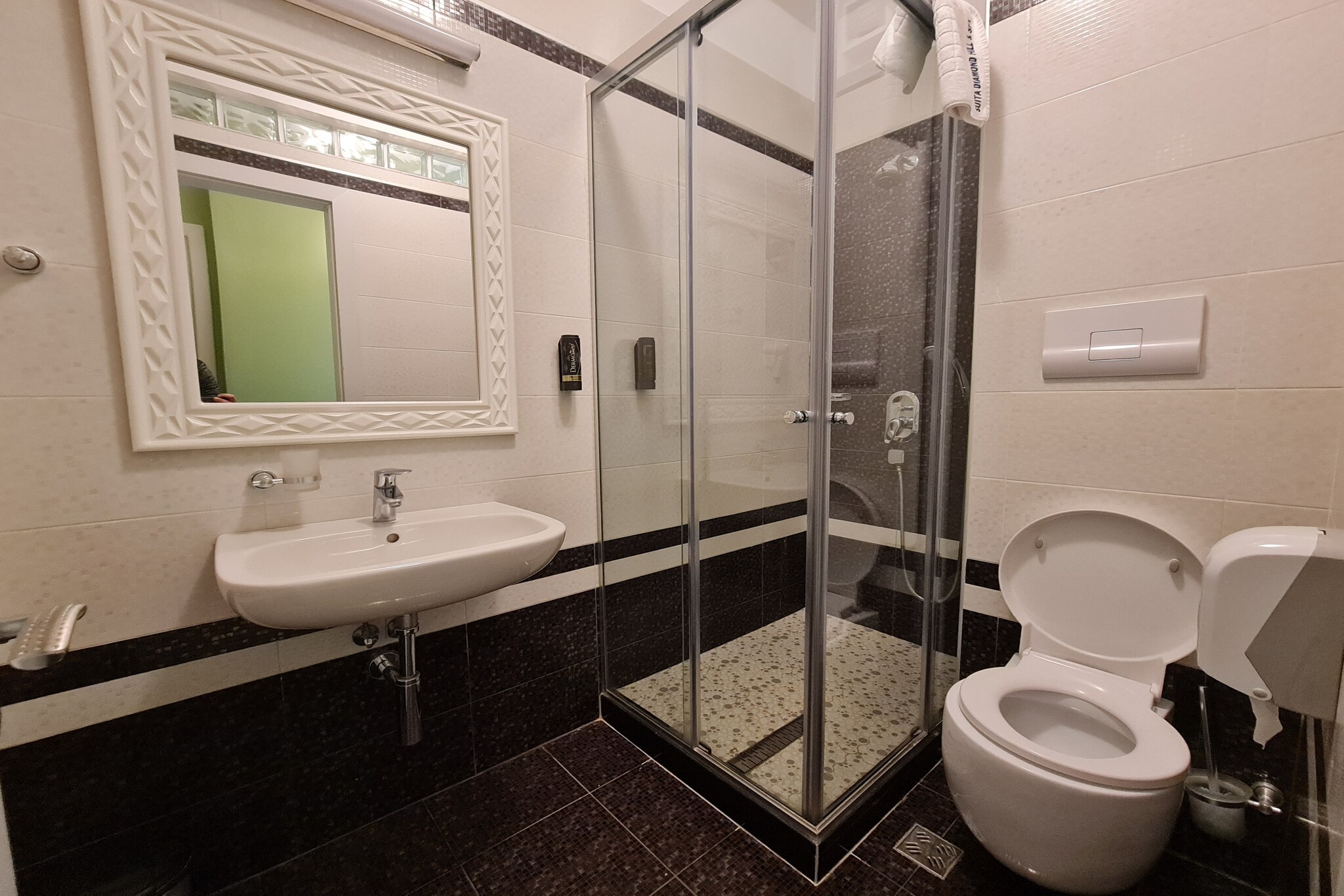 201B, Two Bedroom Apartment-Bathroom