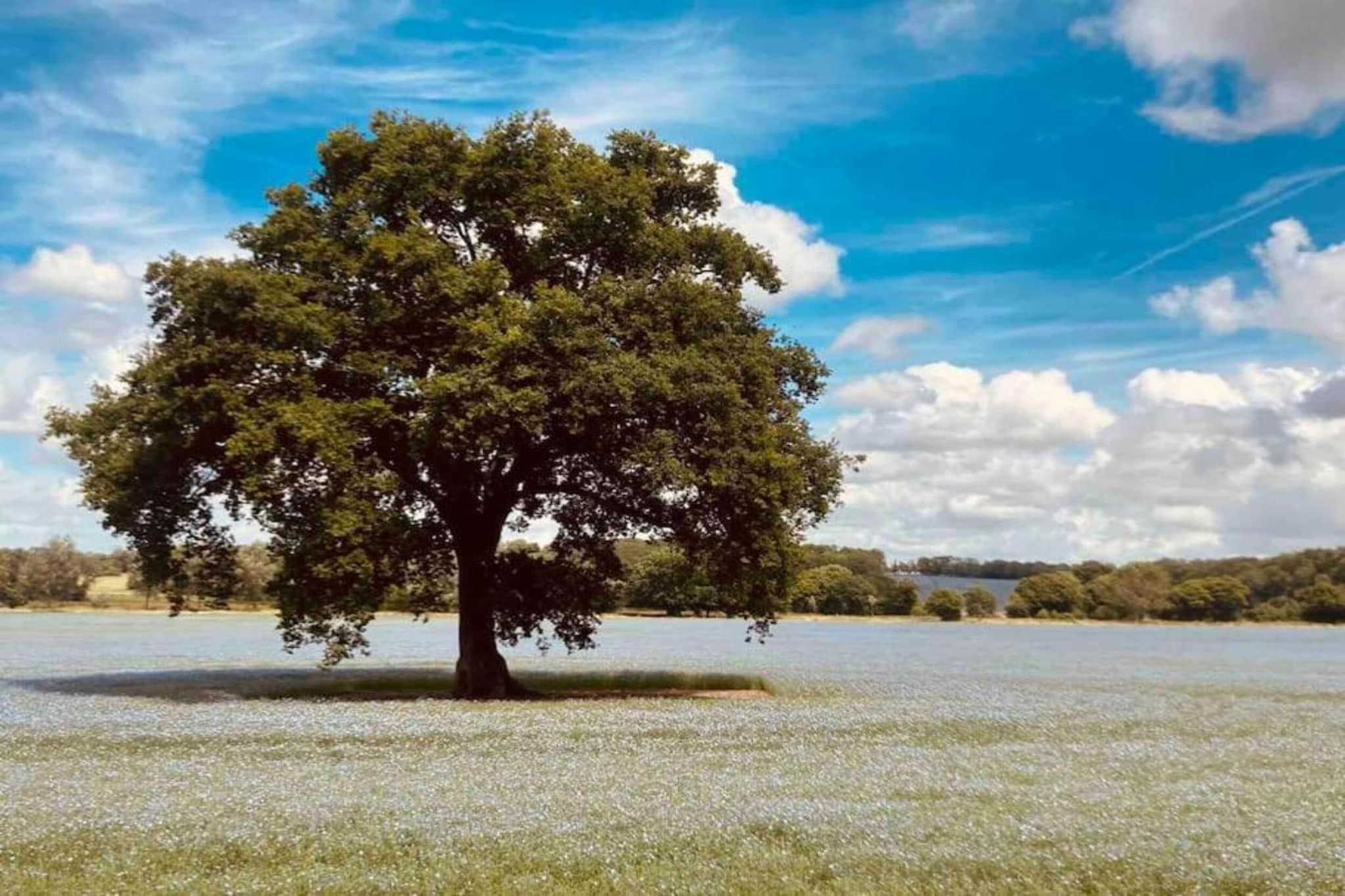 South Downs Lodge-Gebieden zomer 20km