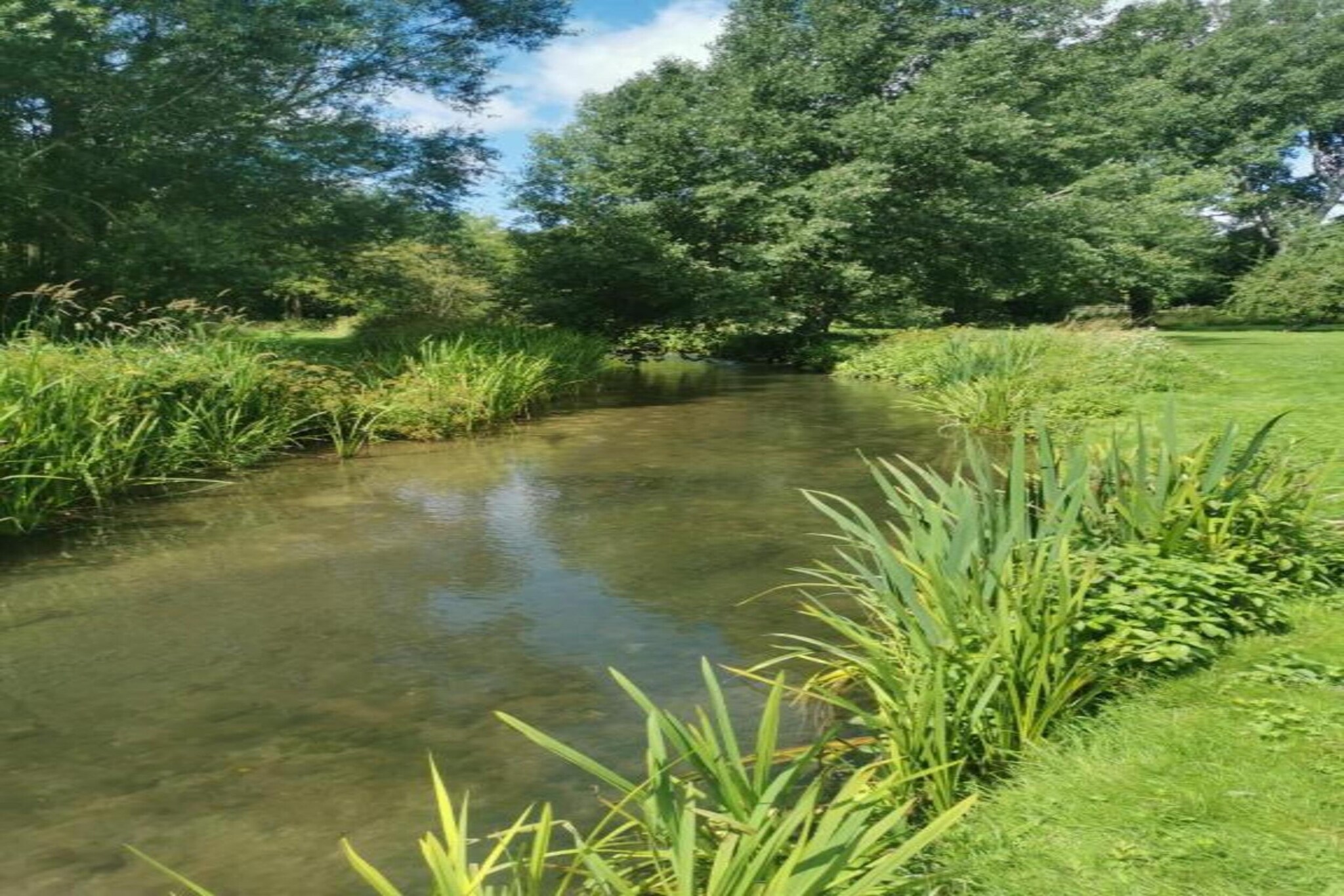 South Downs Lodge-Gebieden zomer 20km
