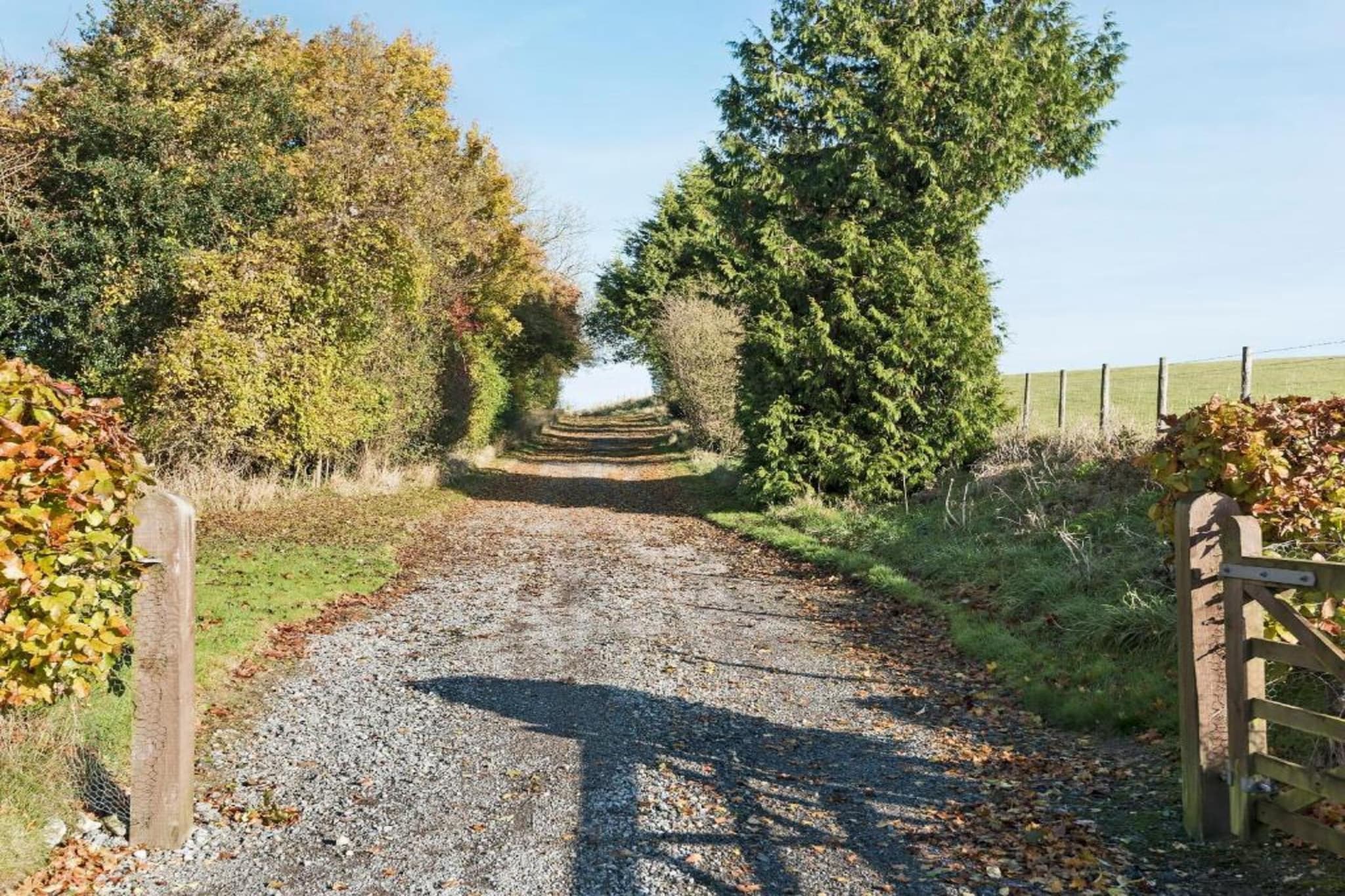 South Downs Lodge-Gebieden zomer 20km