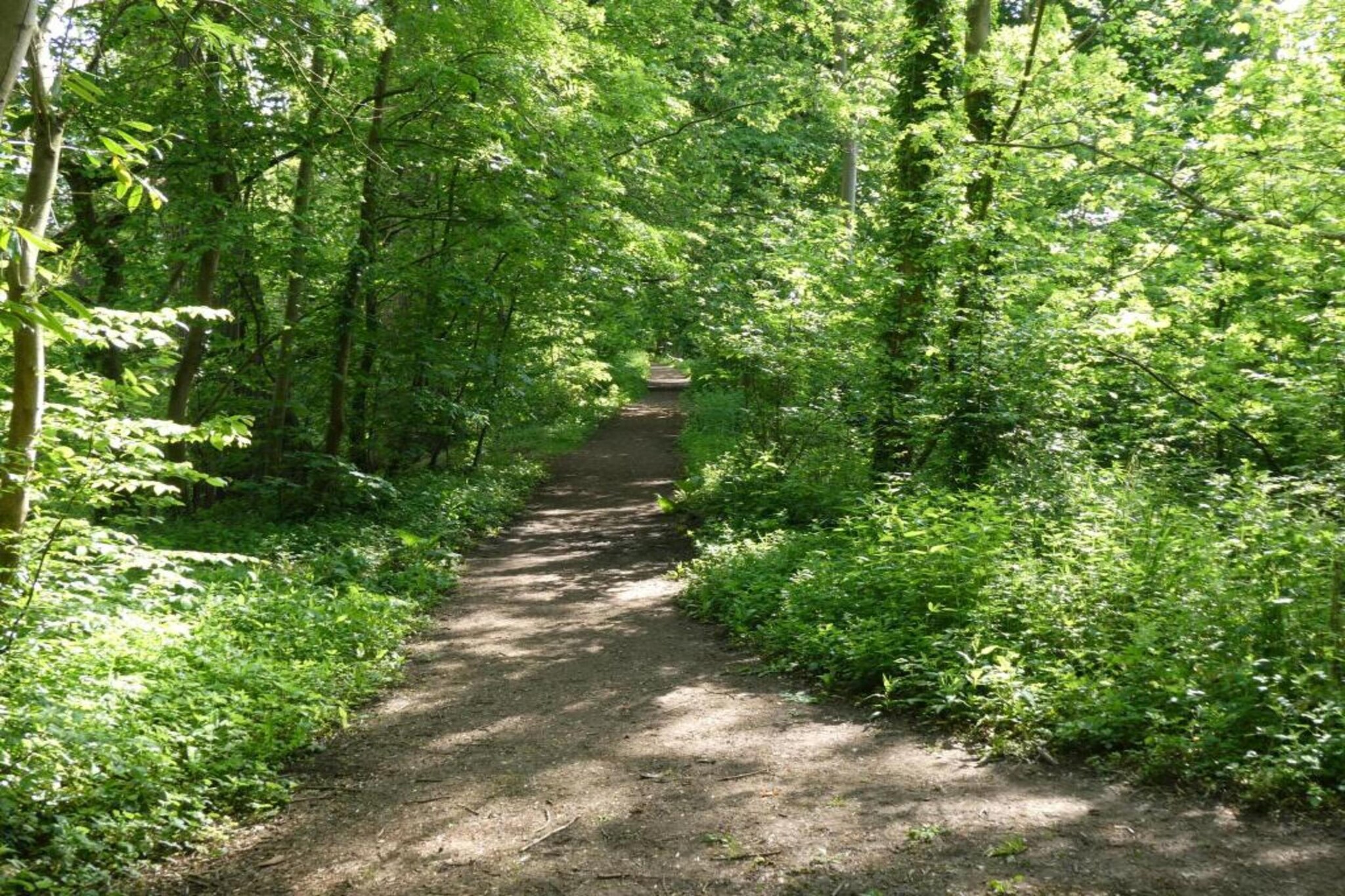 The Flower Hut-Gebieden zomer 5km