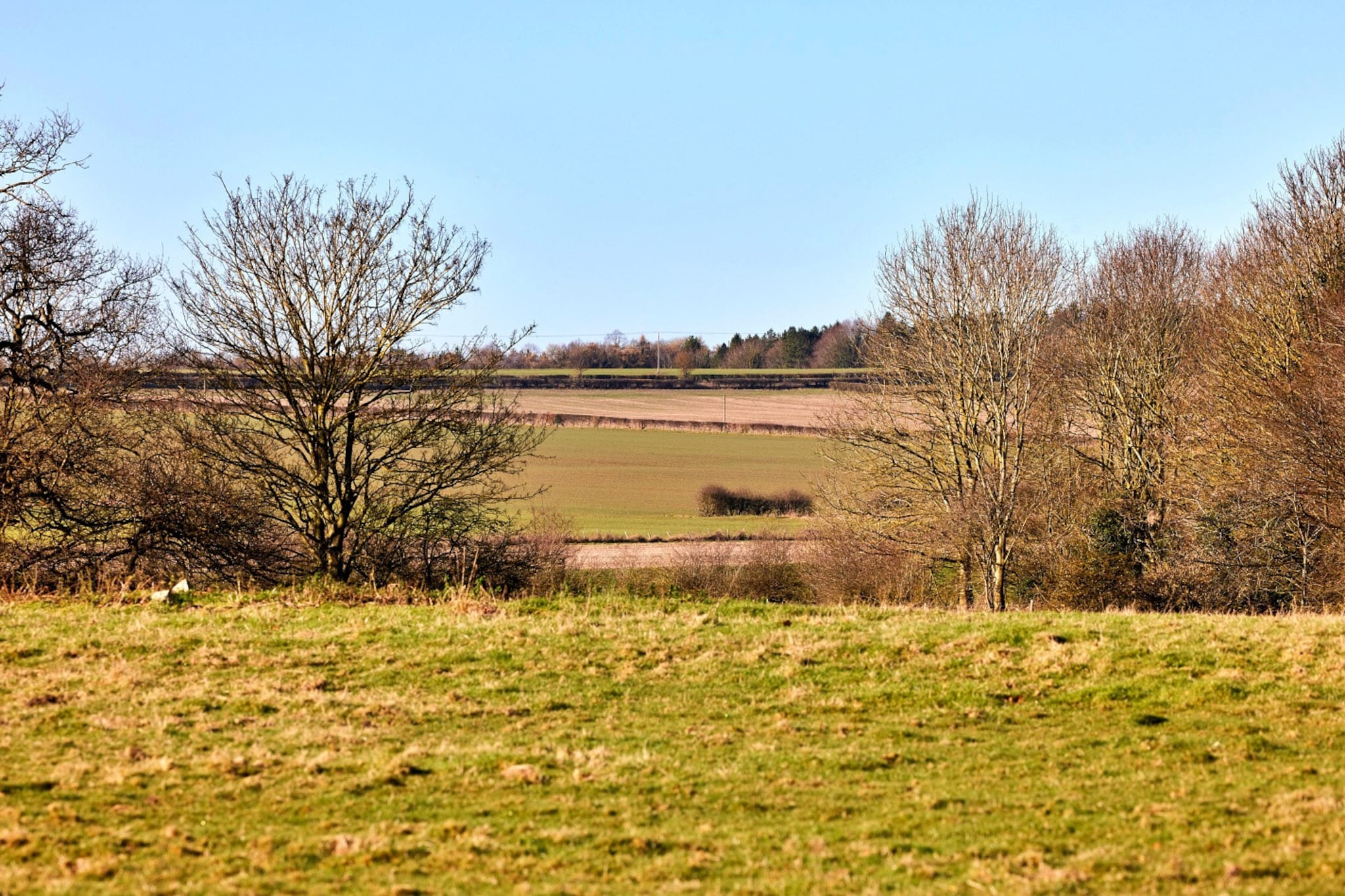 Longwool View-Buitenlucht